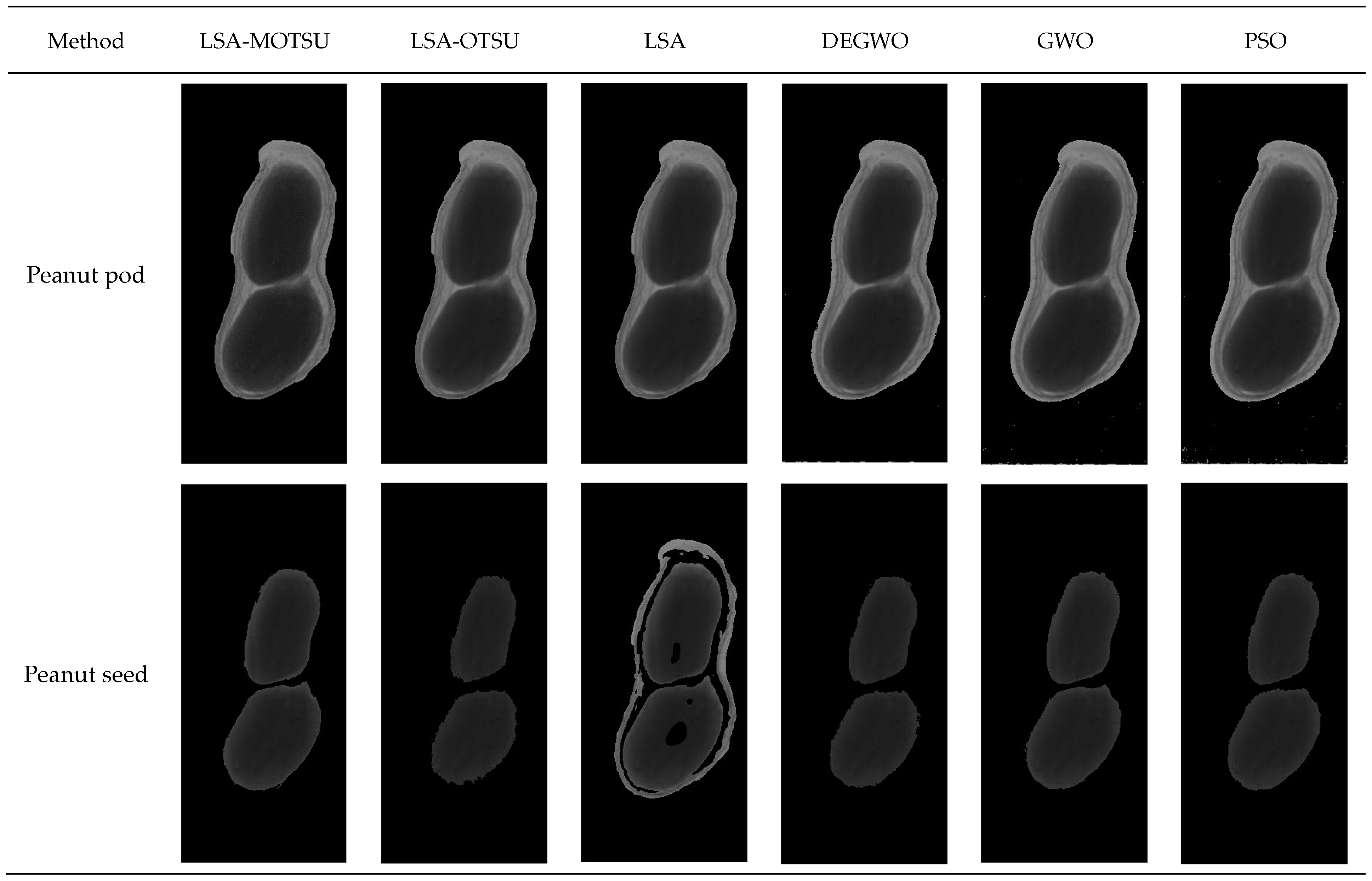 Agriculture 14 00765 g007