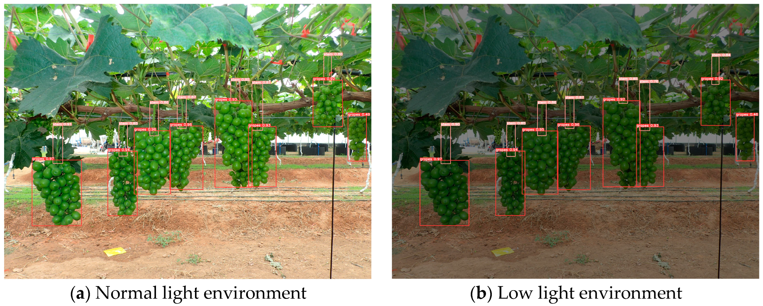 Agriculture 14 00774 g008a