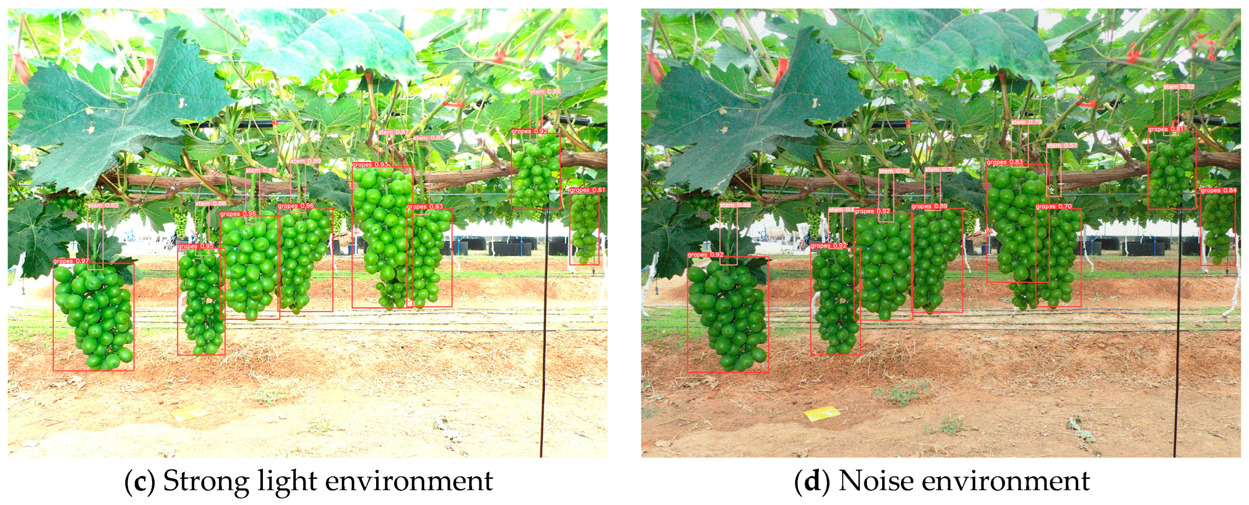 Agriculture 14 00774 g008b