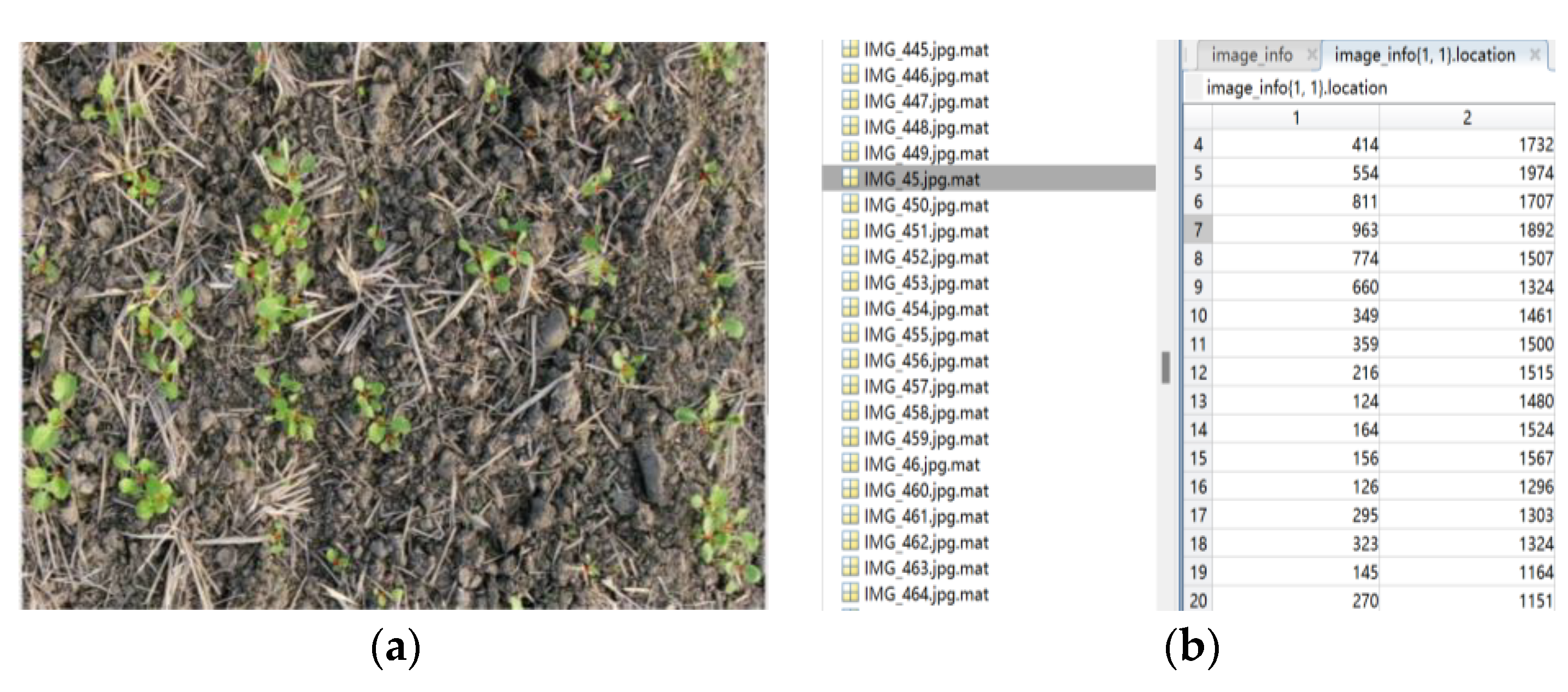 Agriculture 14 00783 g003