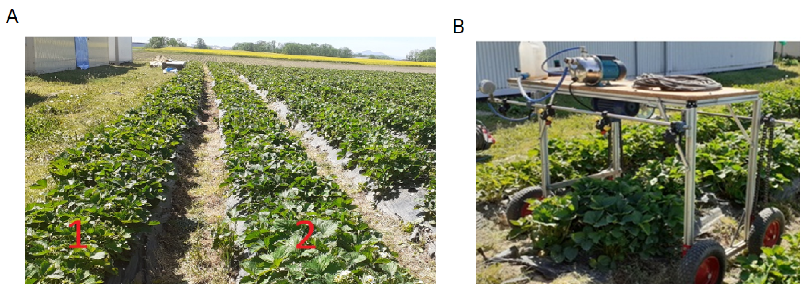 Agriculture 14 00799 g001