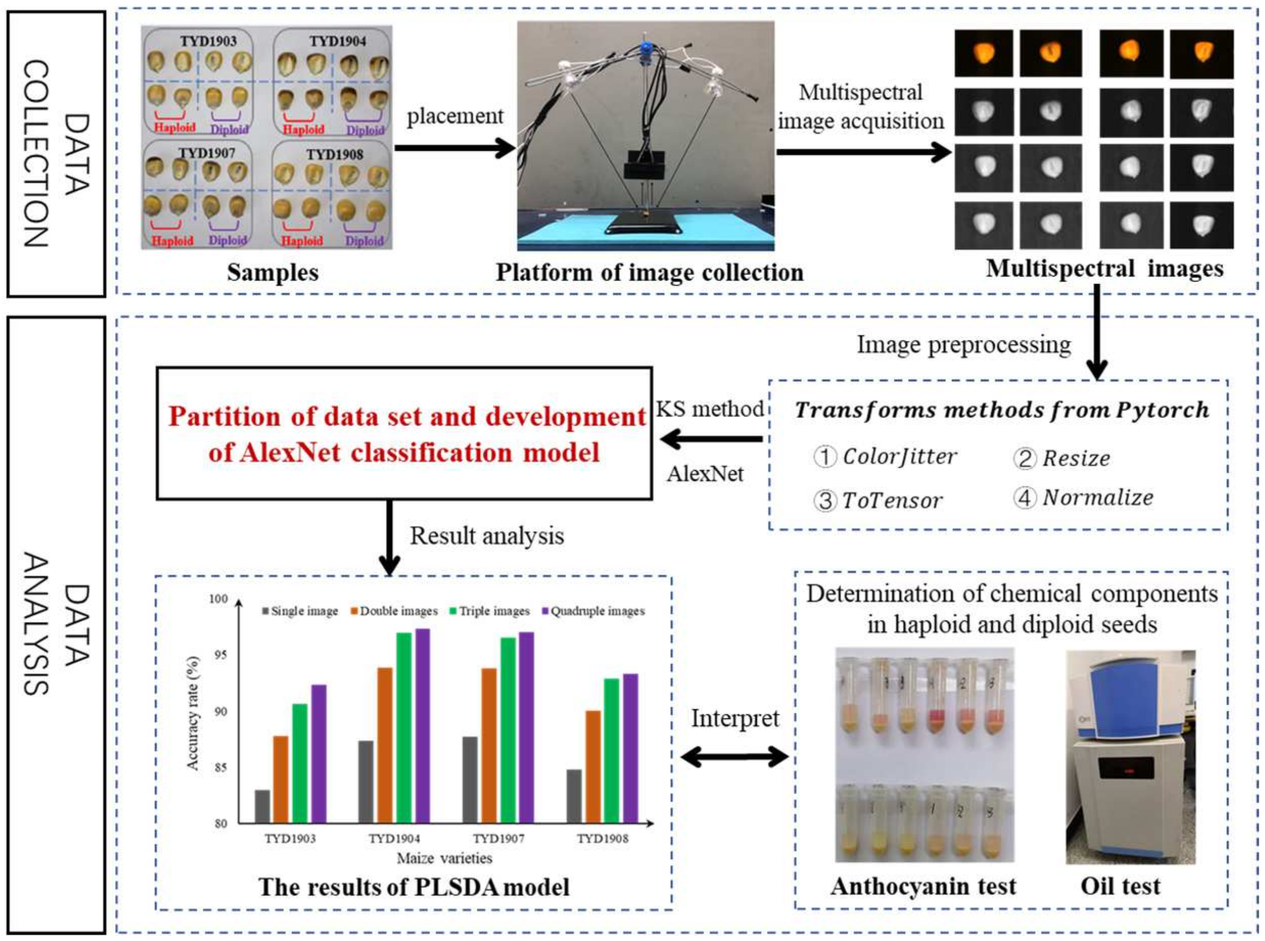 Agriculture 14 00800 g002