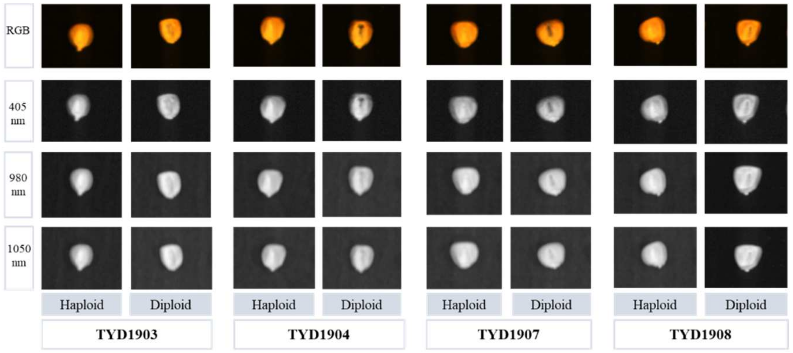 Agriculture 14 00800 g004