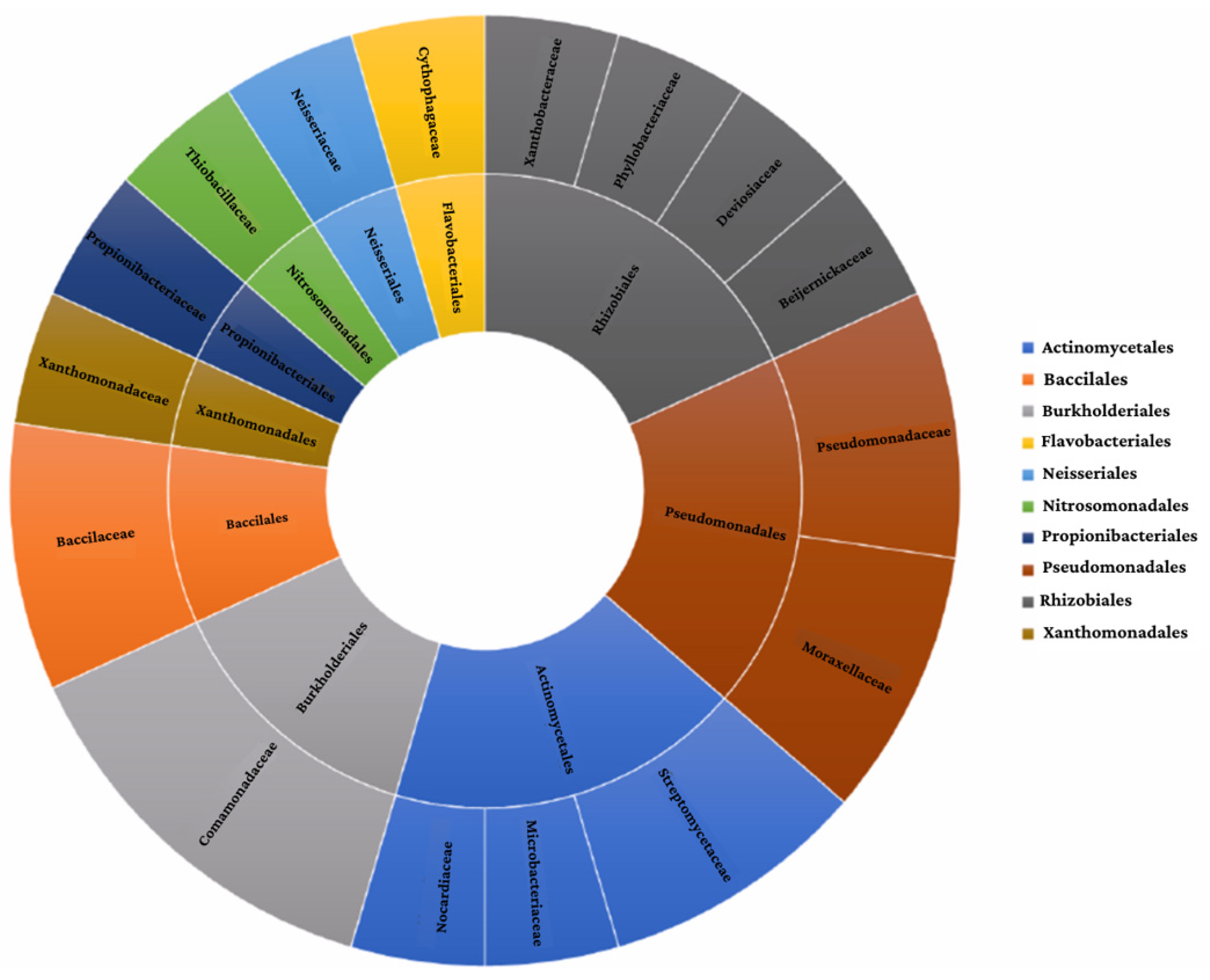 Agriculture 14 00806 g001