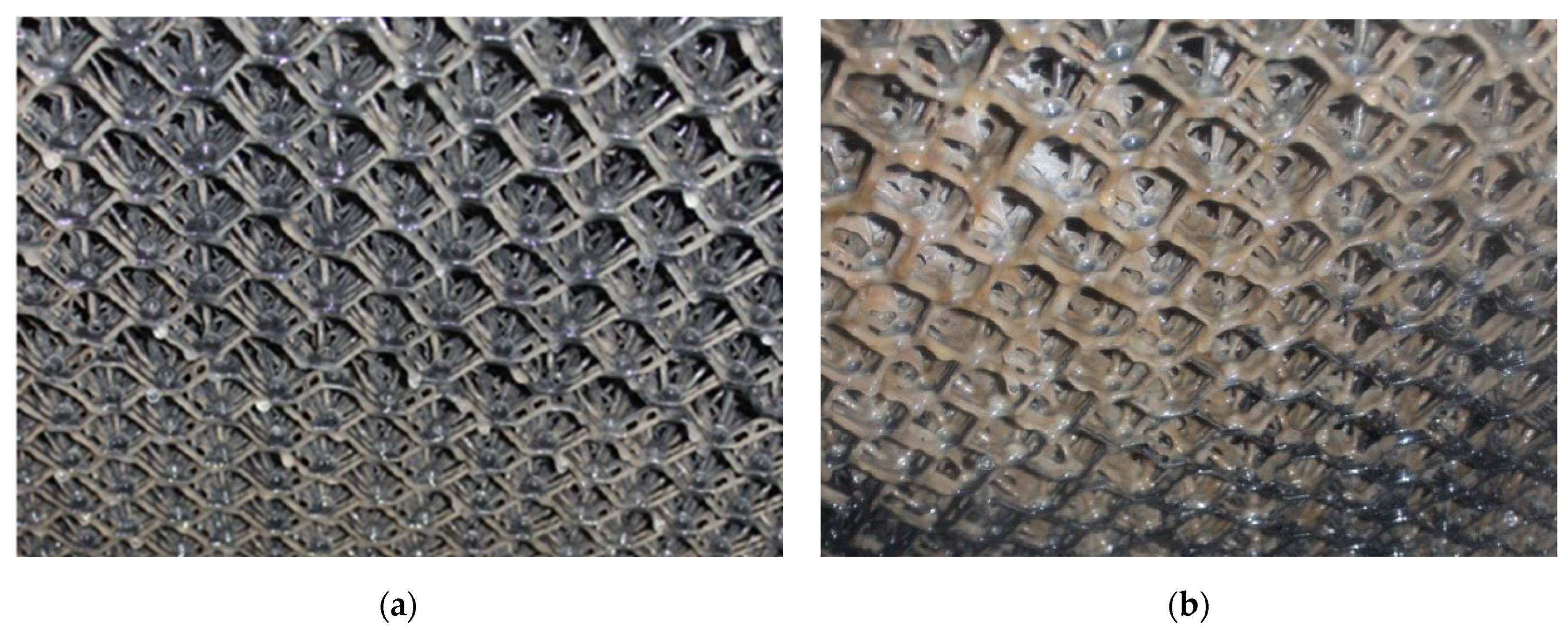 Agriculture 14 00806 g003