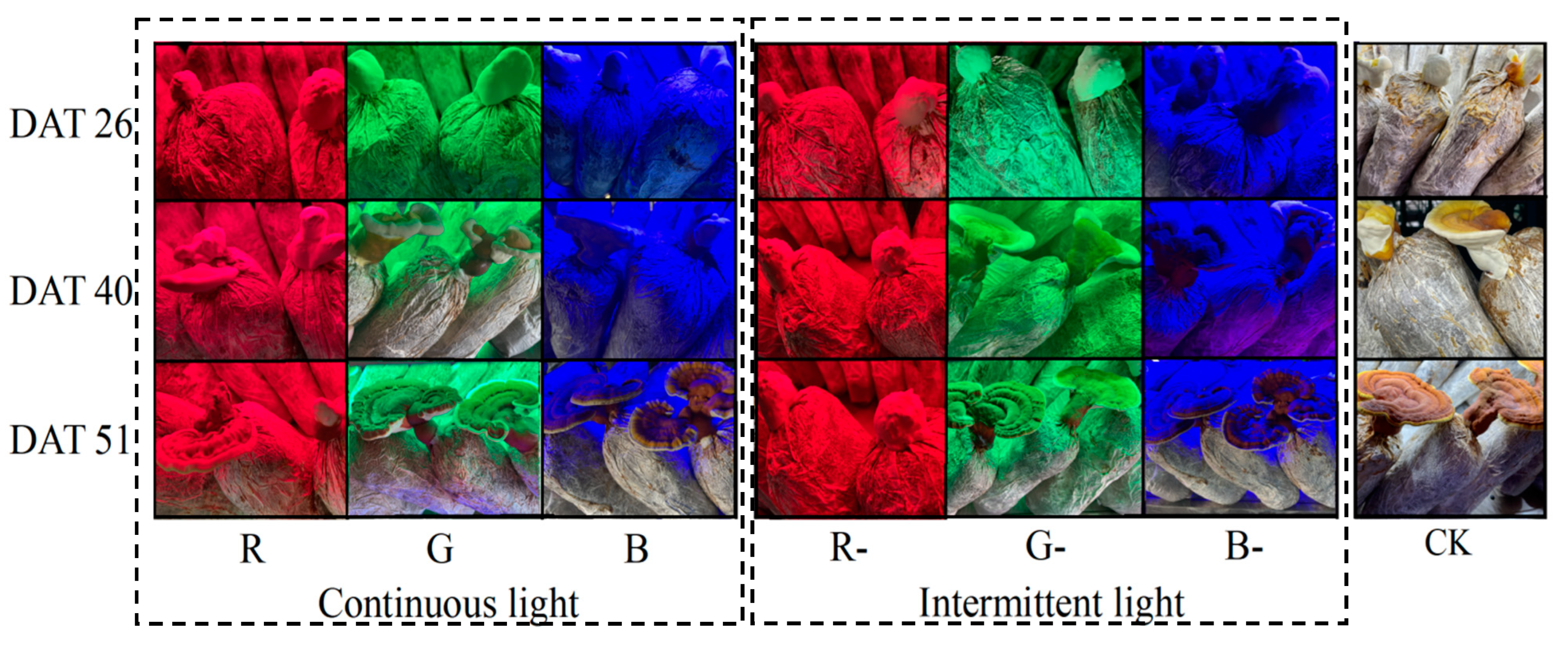 Agriculture 14 00835 g002