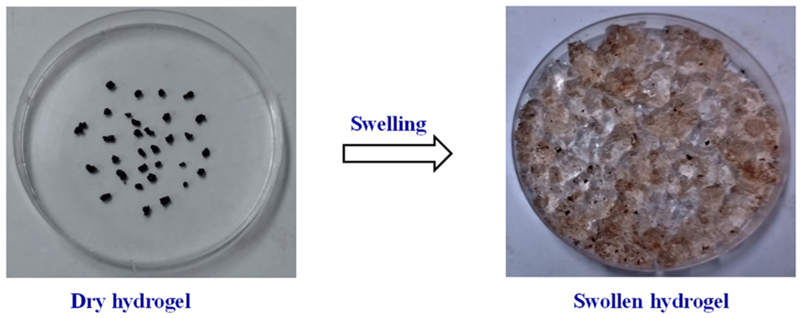 Agriculture 14 00840 g004