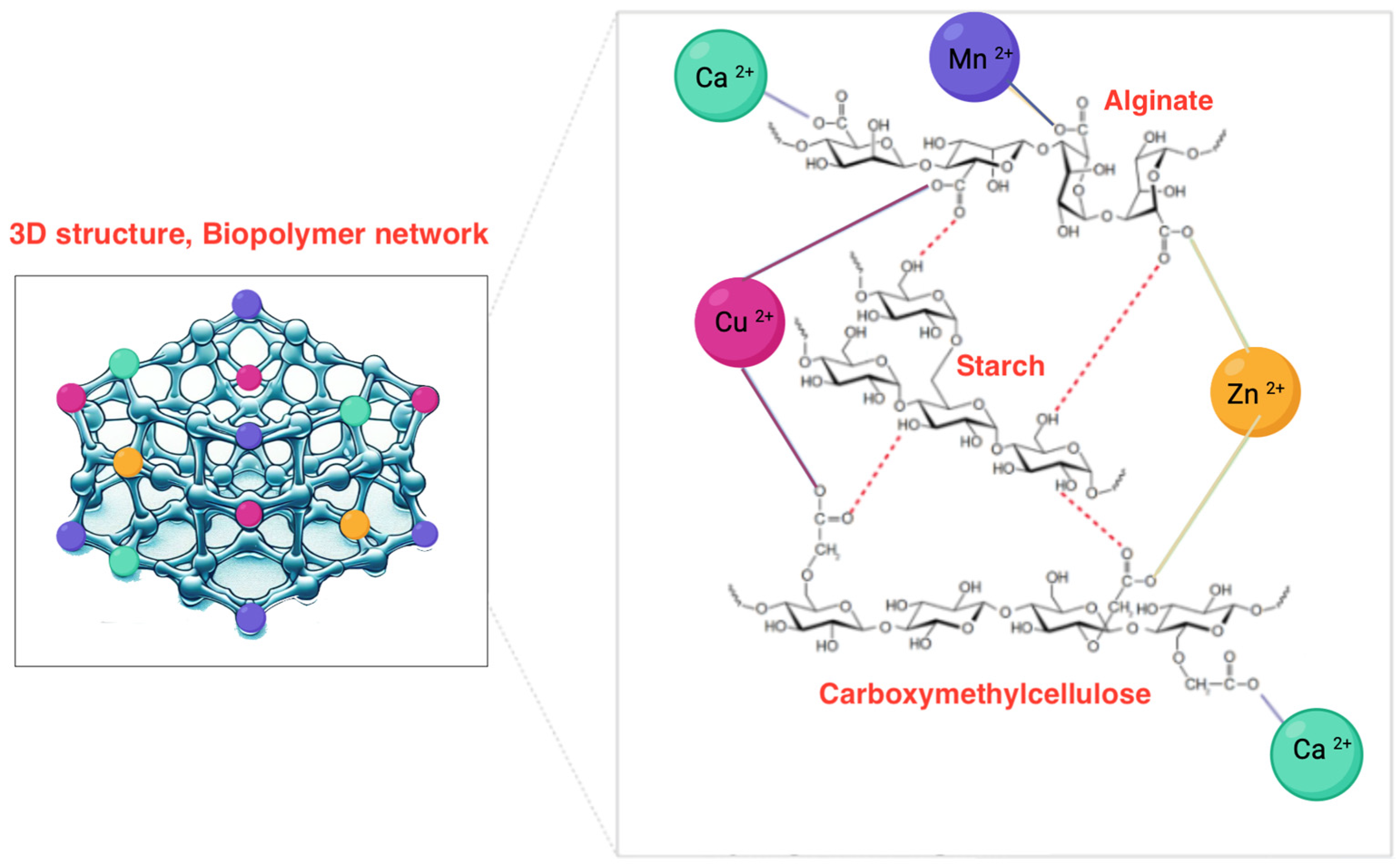 Agriculture 14 00840 g005