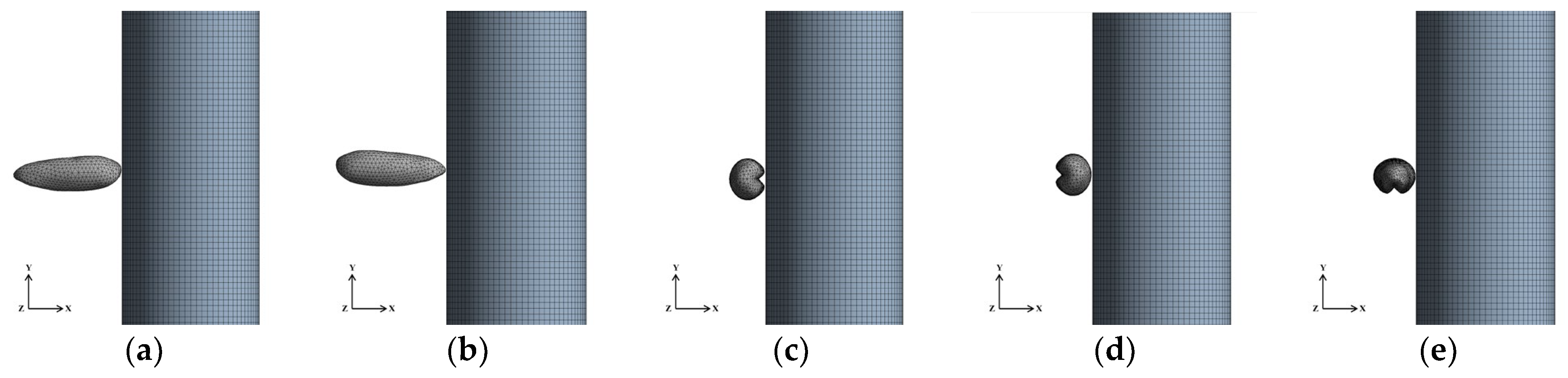 Agriculture 14 00842 g003