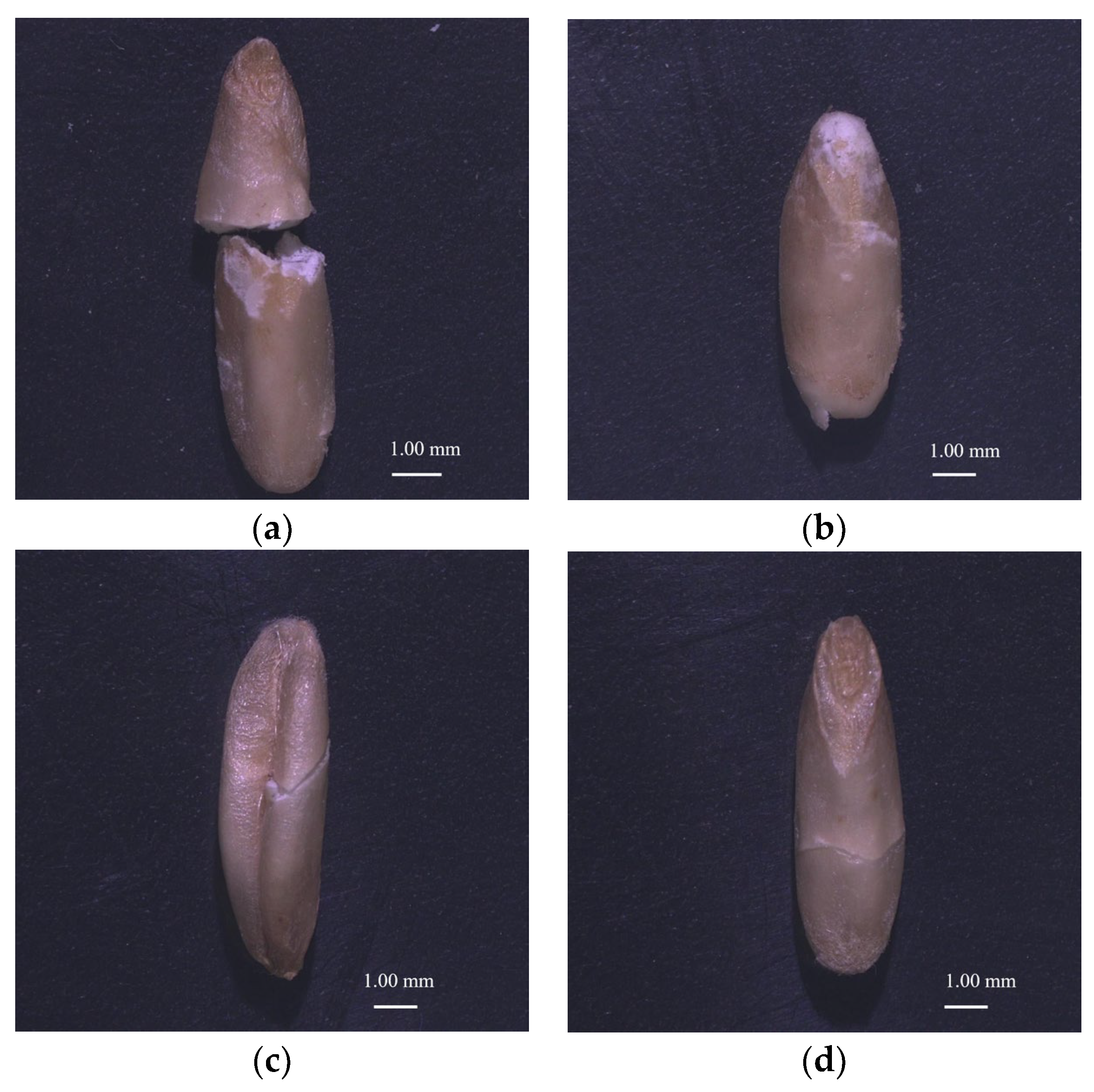 Agriculture 14 00842 g010