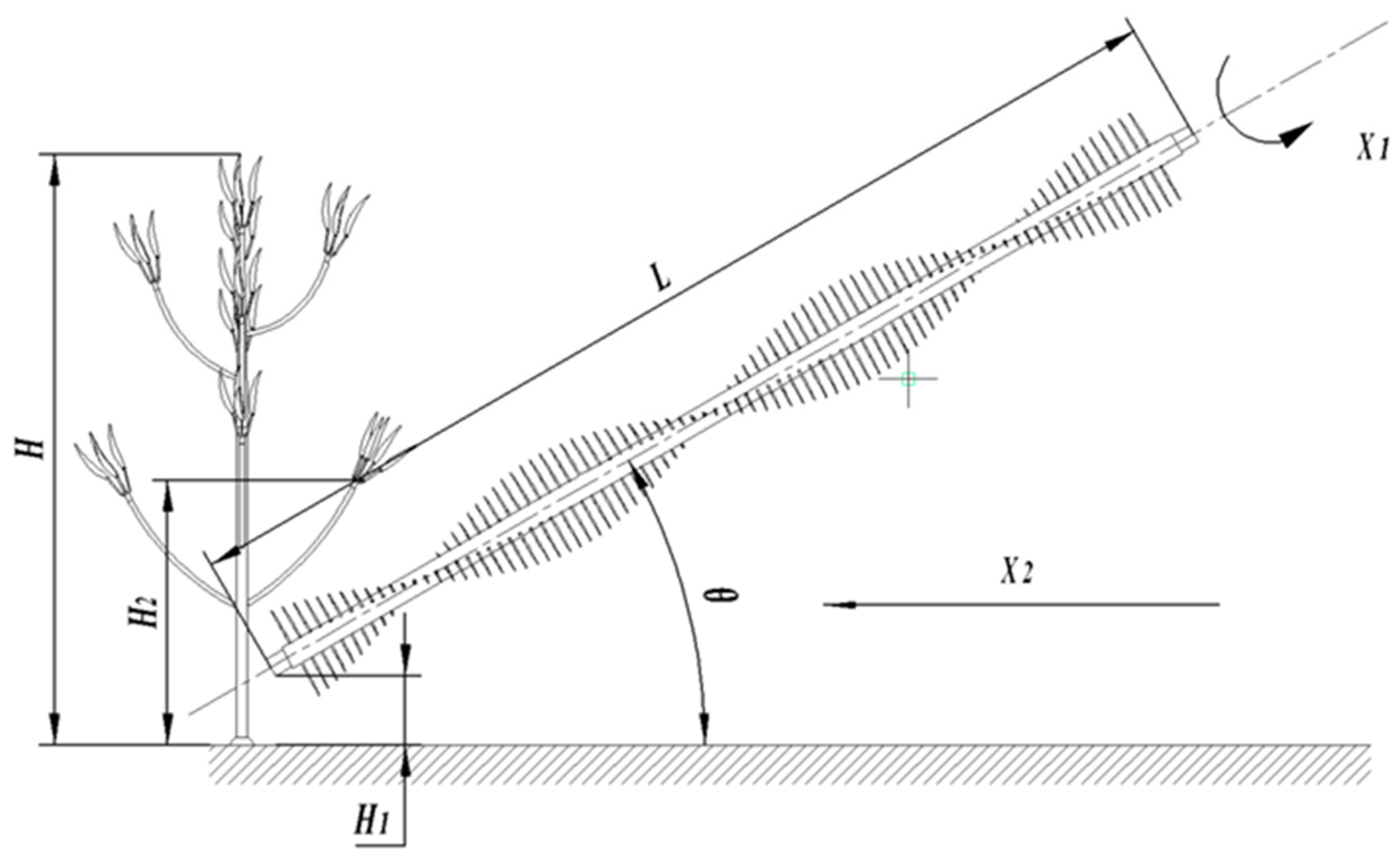 Agriculture 14 00859 g004