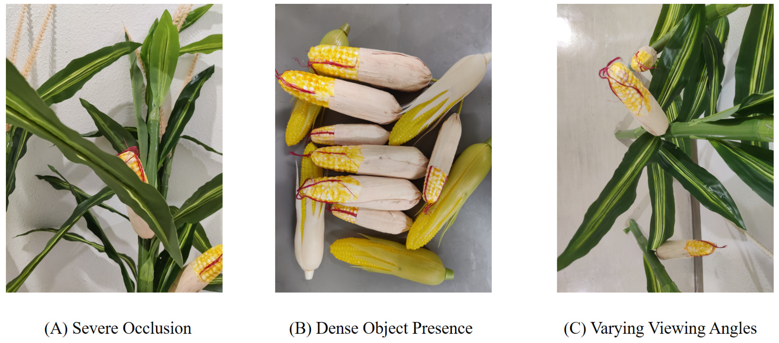 Agriculture 14 00907 g001