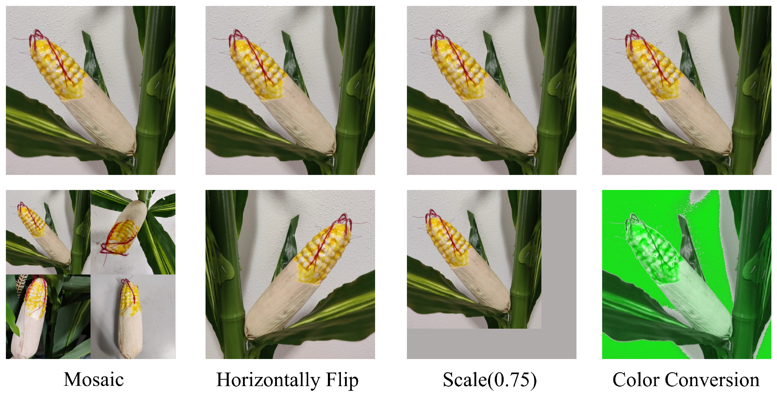 Agriculture 14 00907 g003