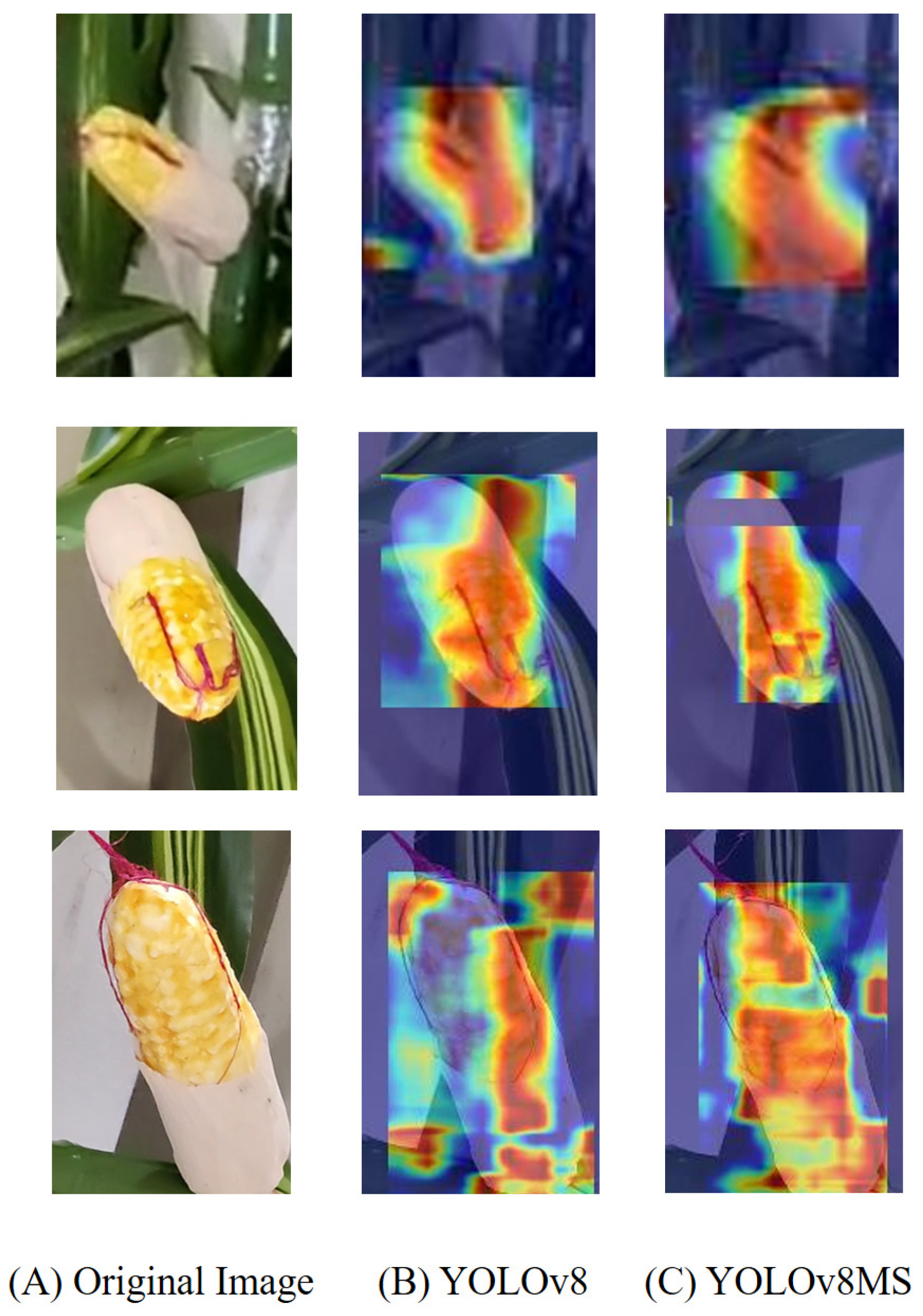 Agriculture 14 00907 g009