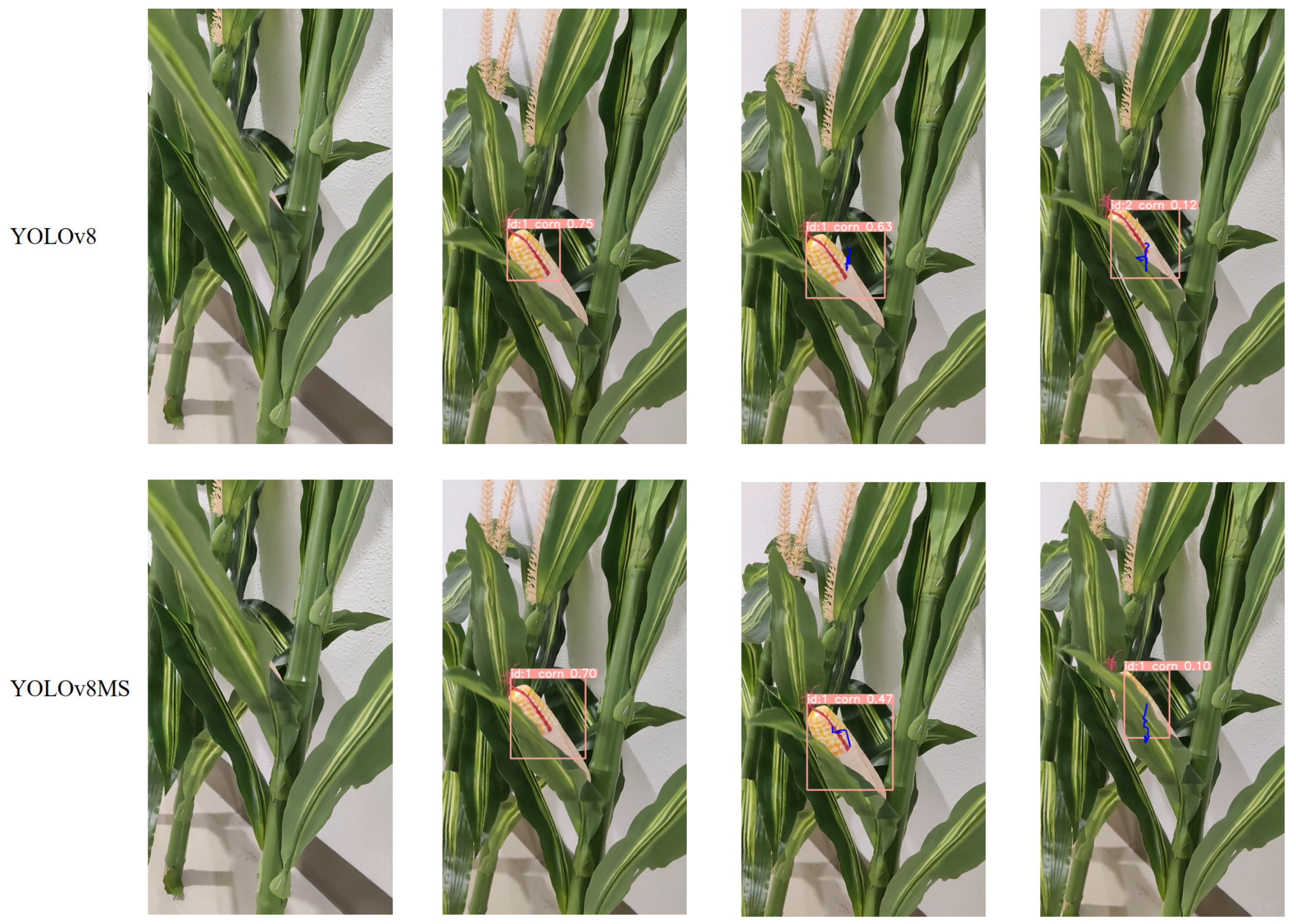 Agriculture 14 00907 g010