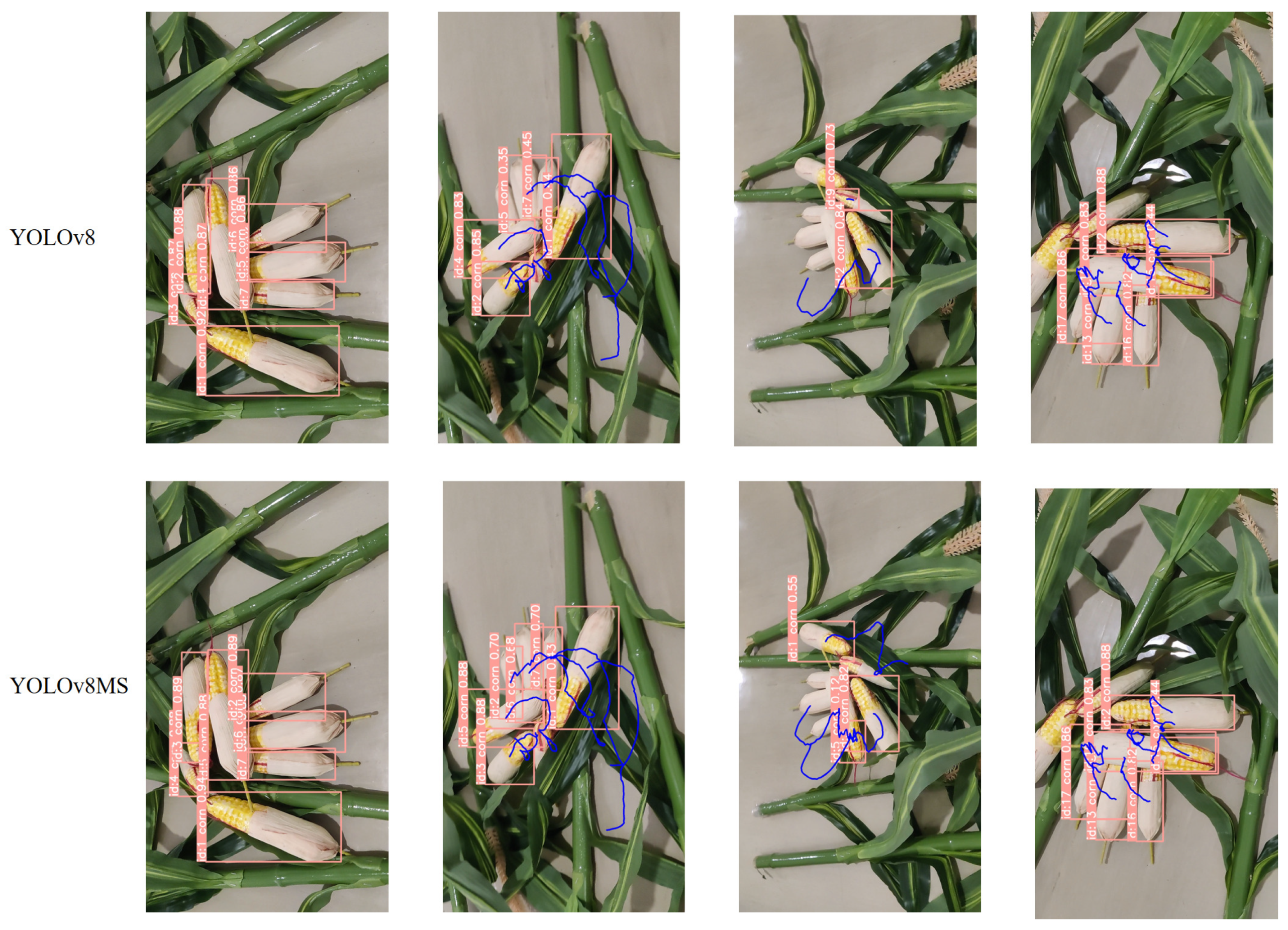 Agriculture 14 00907 g011