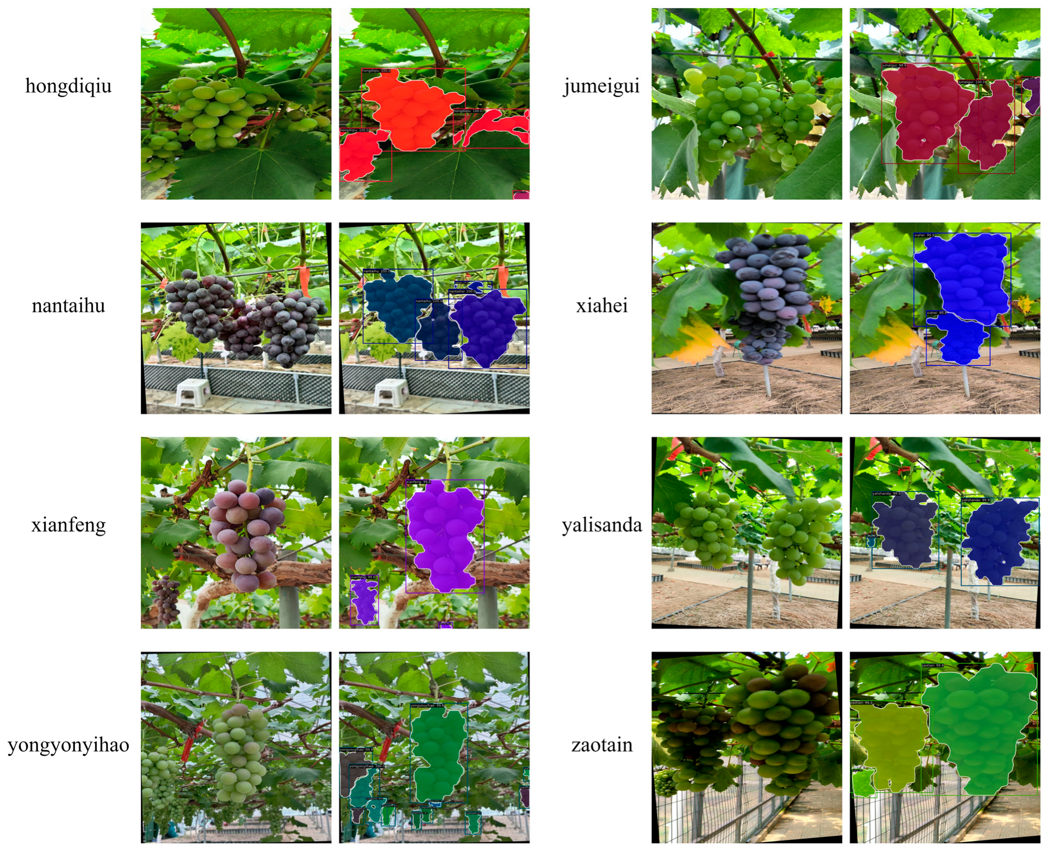 Agriculture 14 00918 g007