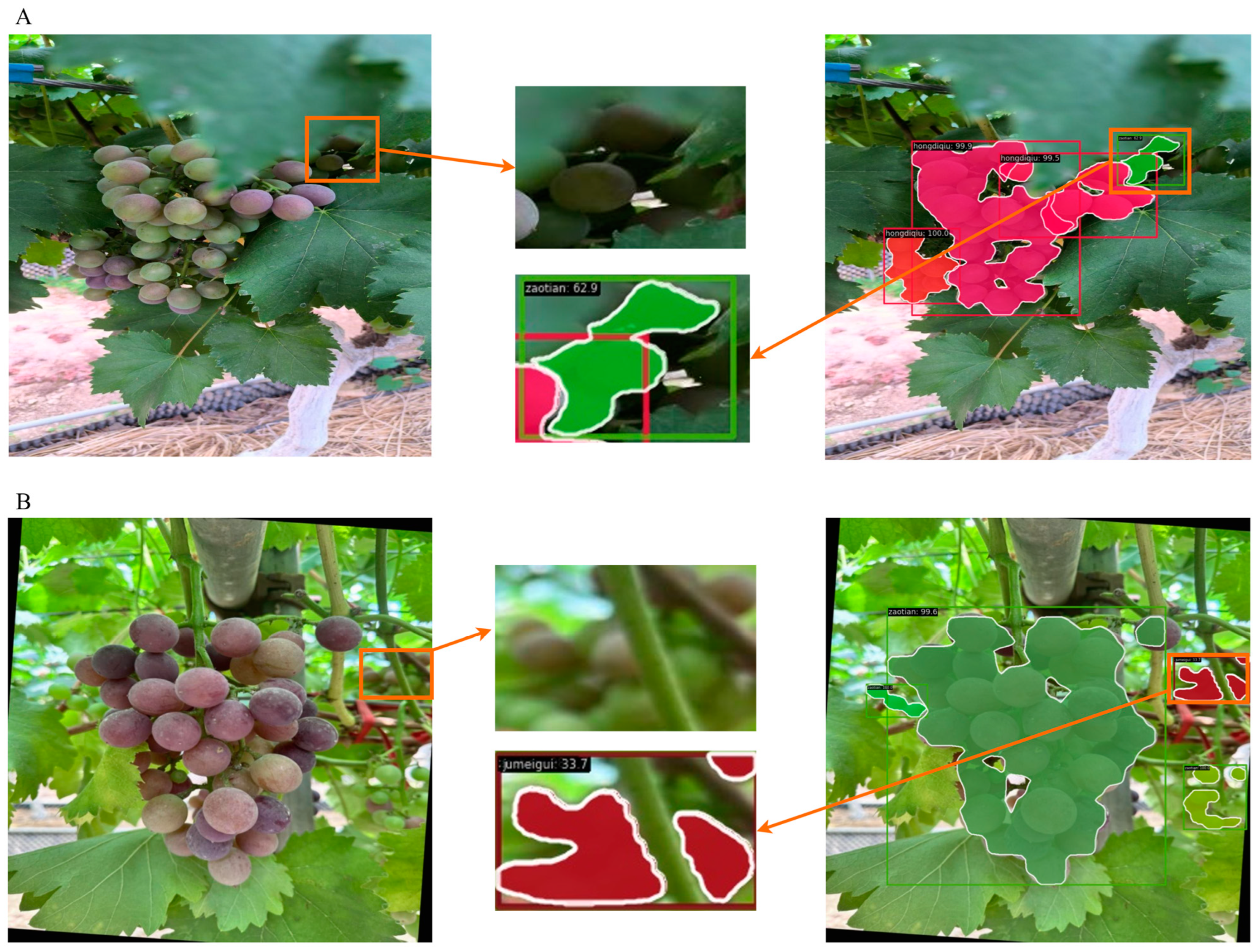 Agriculture 14 00918 g011