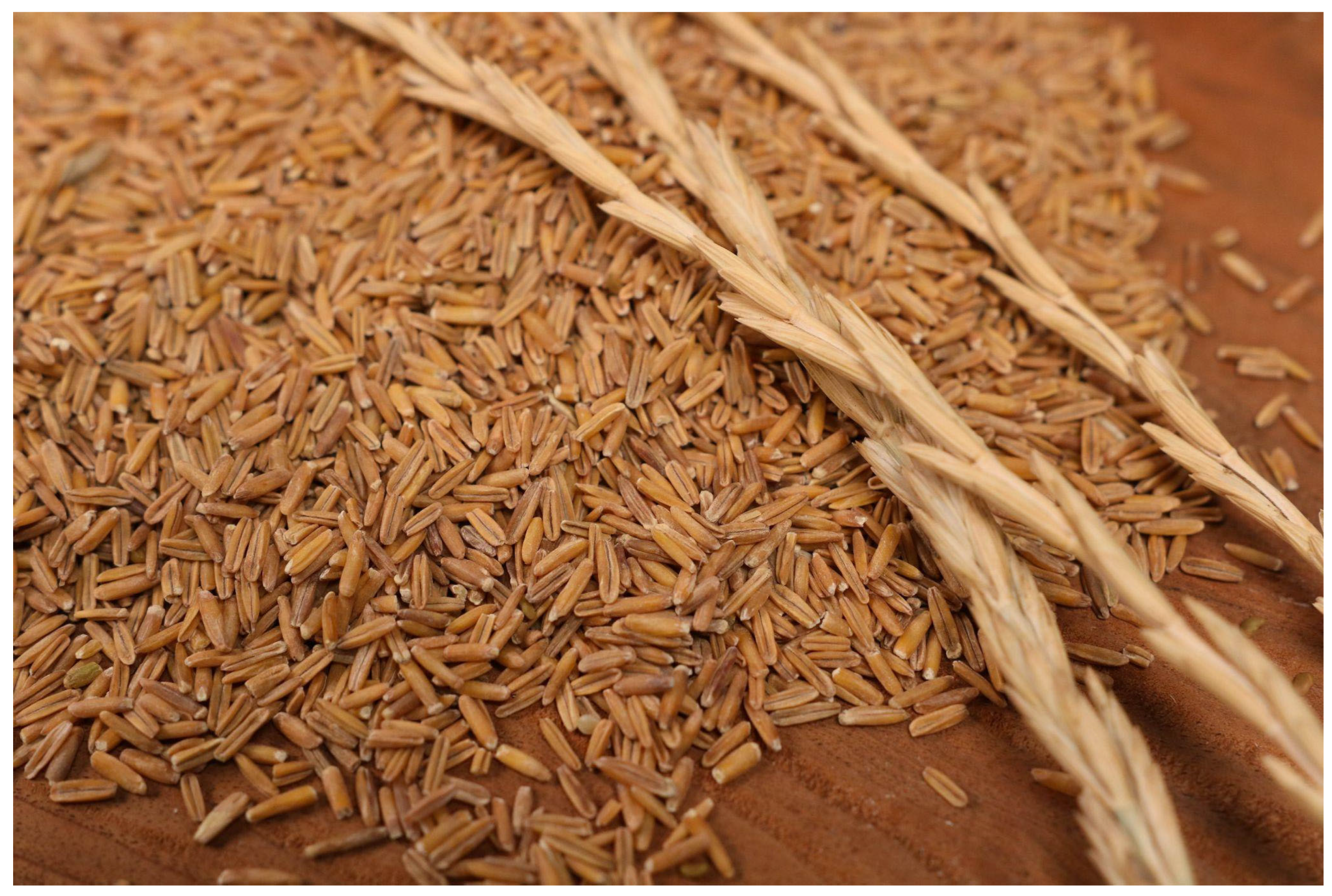 Agriculture 14 00919 g001