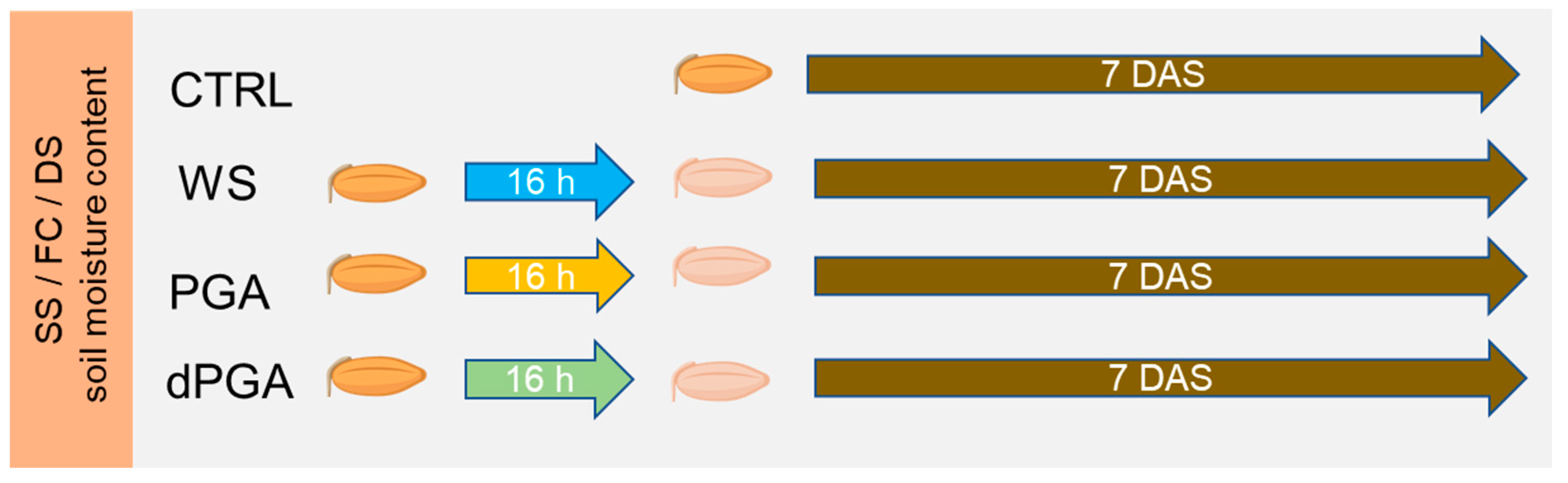 Agriculture 14 00926 g001
