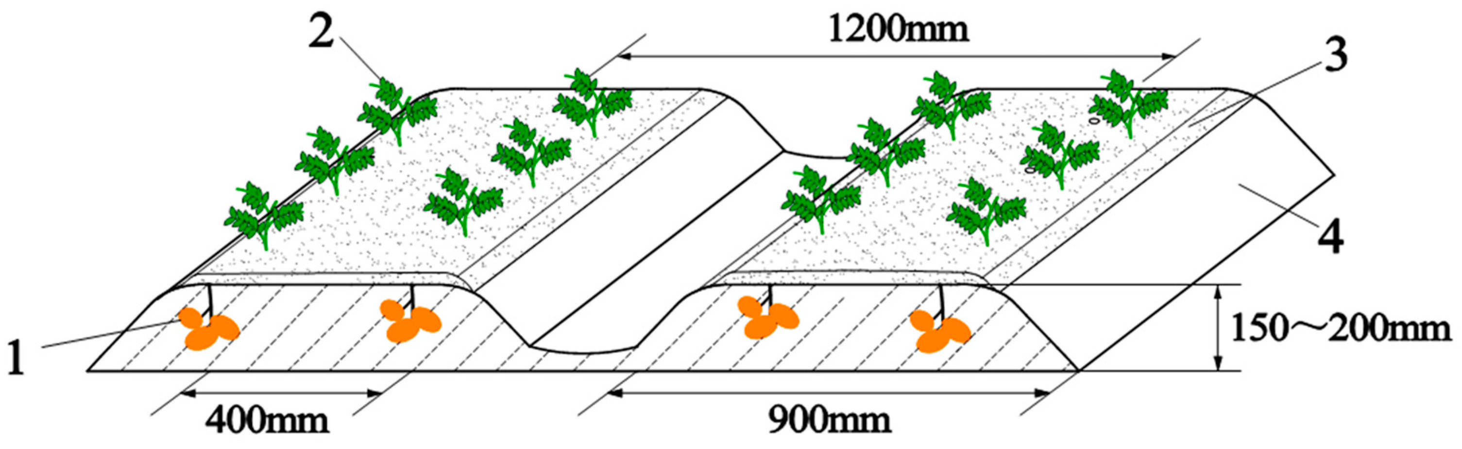 Agriculture 14 00933 g002
