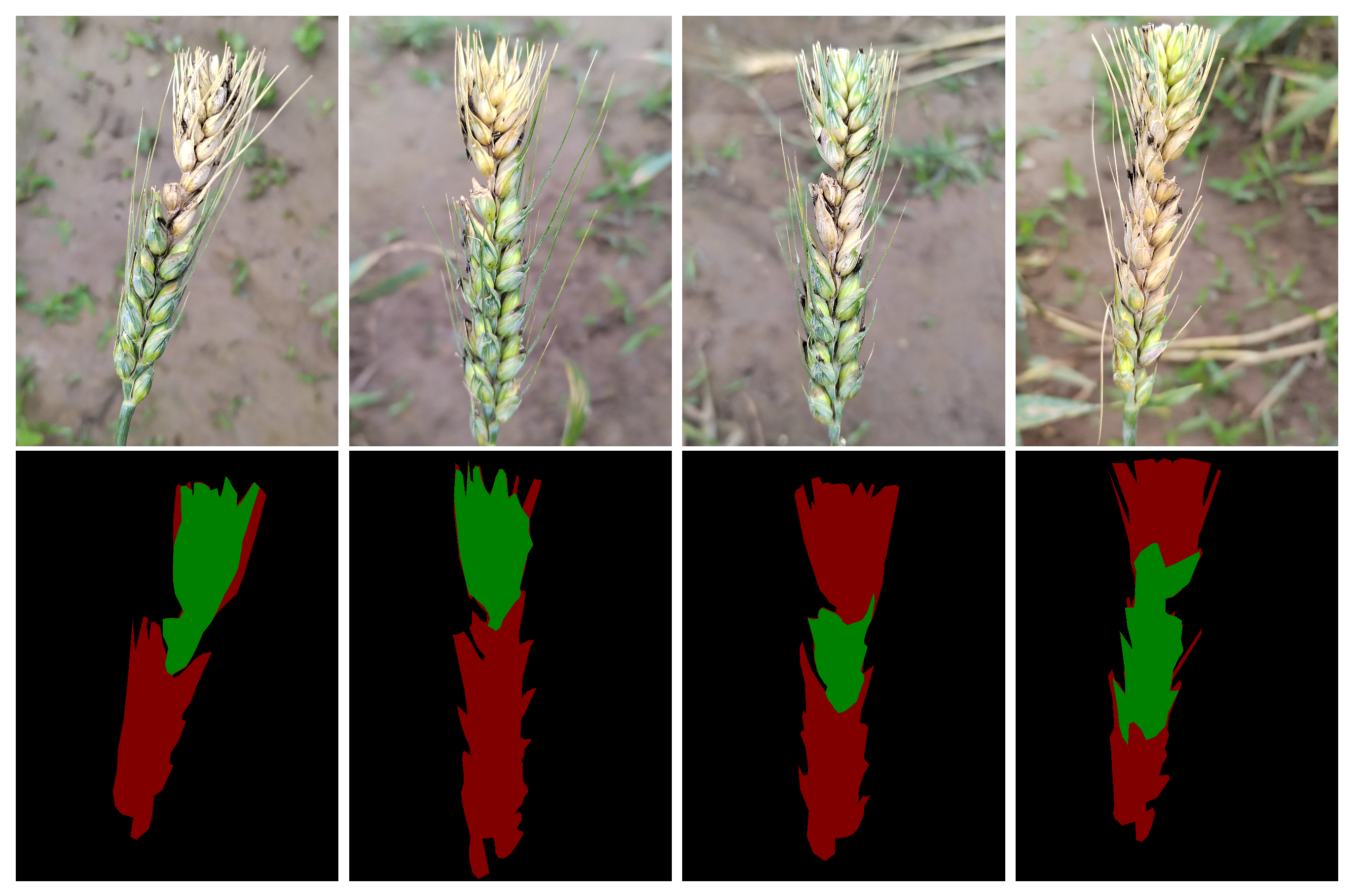 Agriculture 14 00938 g002