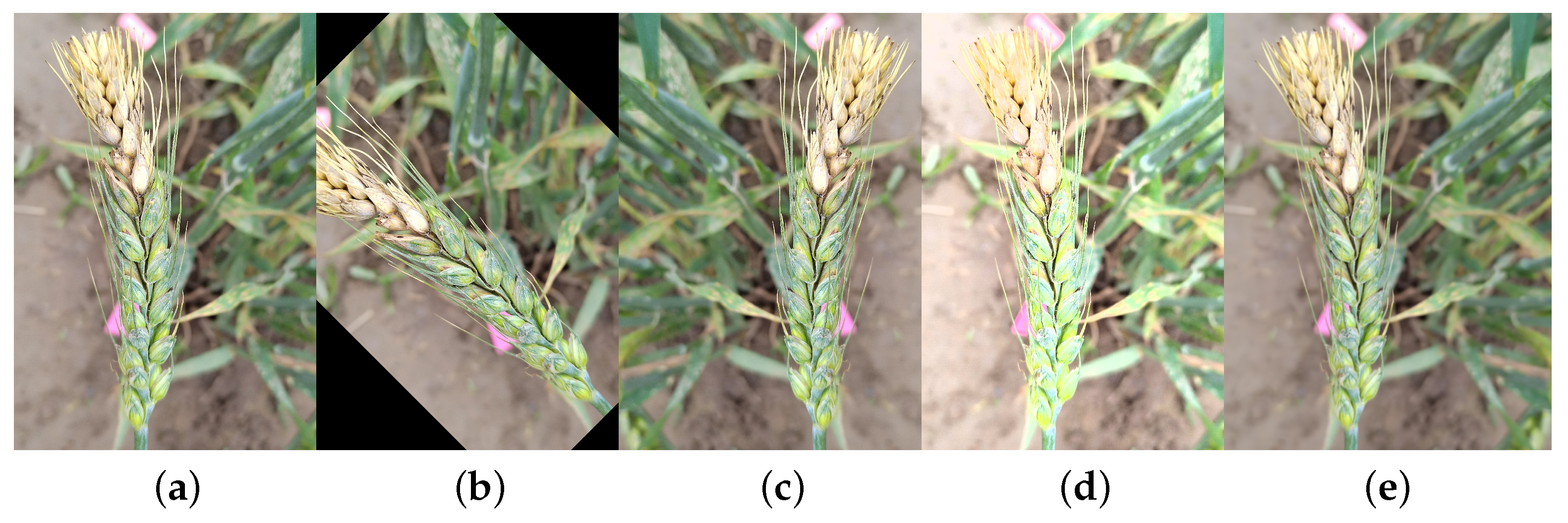 Agriculture 14 00938 g003