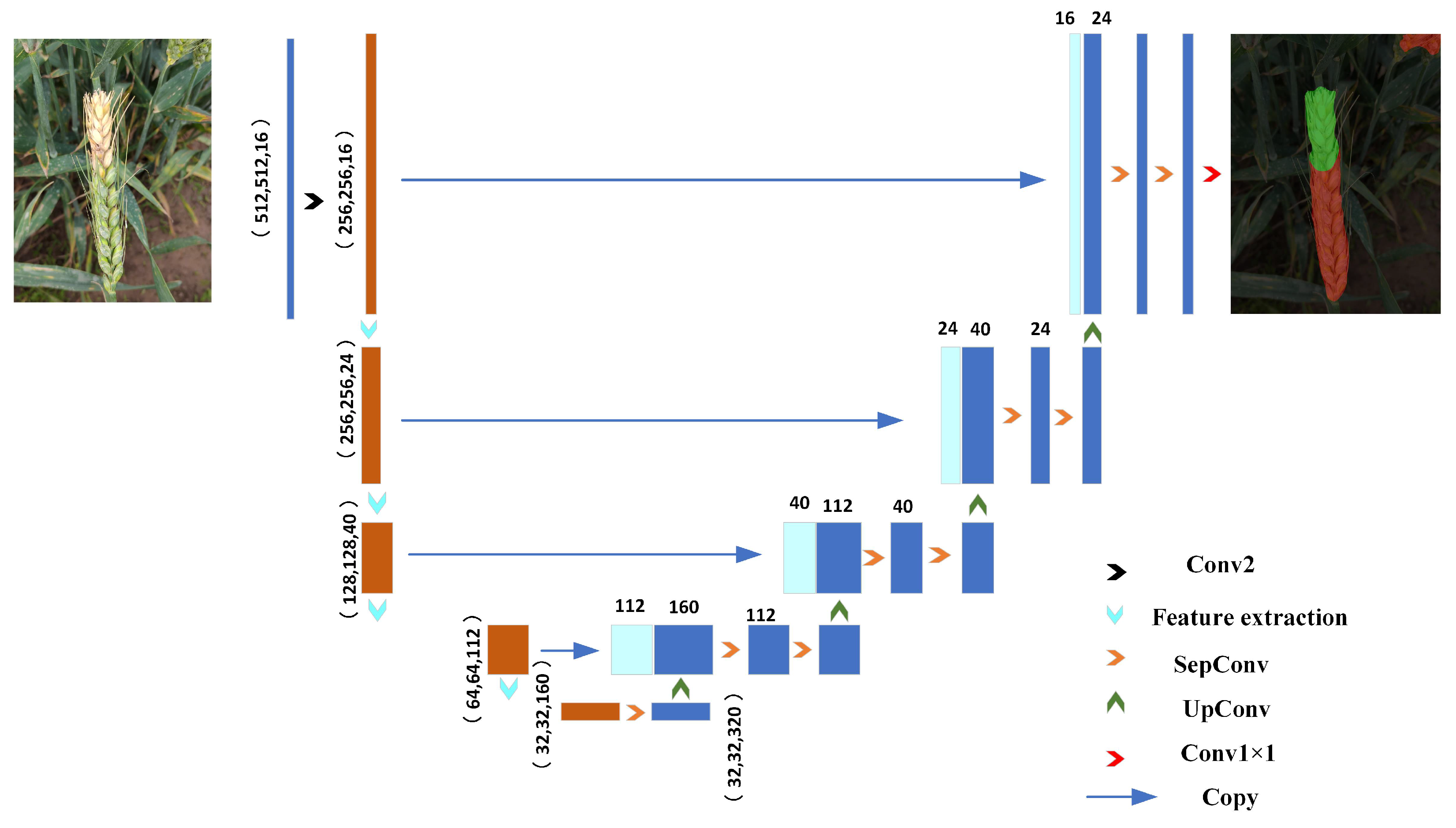 Agriculture 14 00938 g004