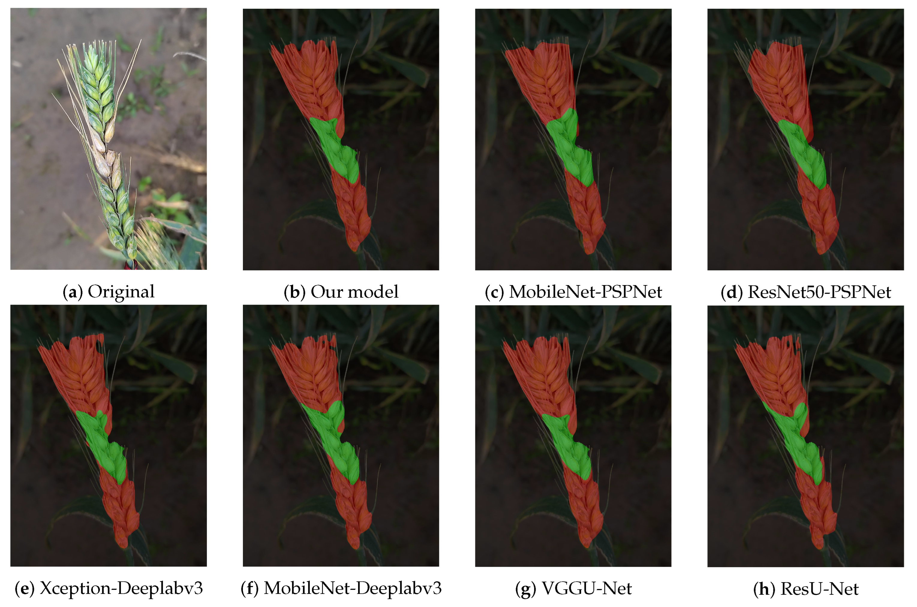 Agriculture 14 00938 g011