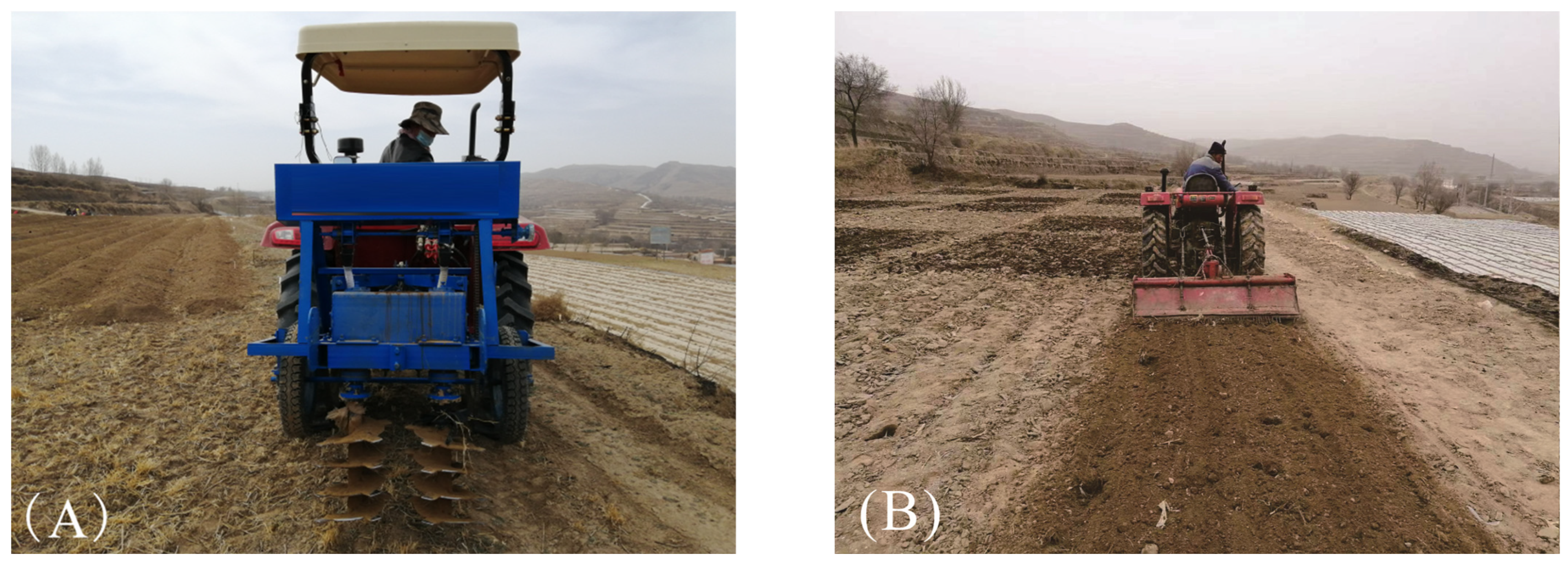 Agriculture 14 00955 g001