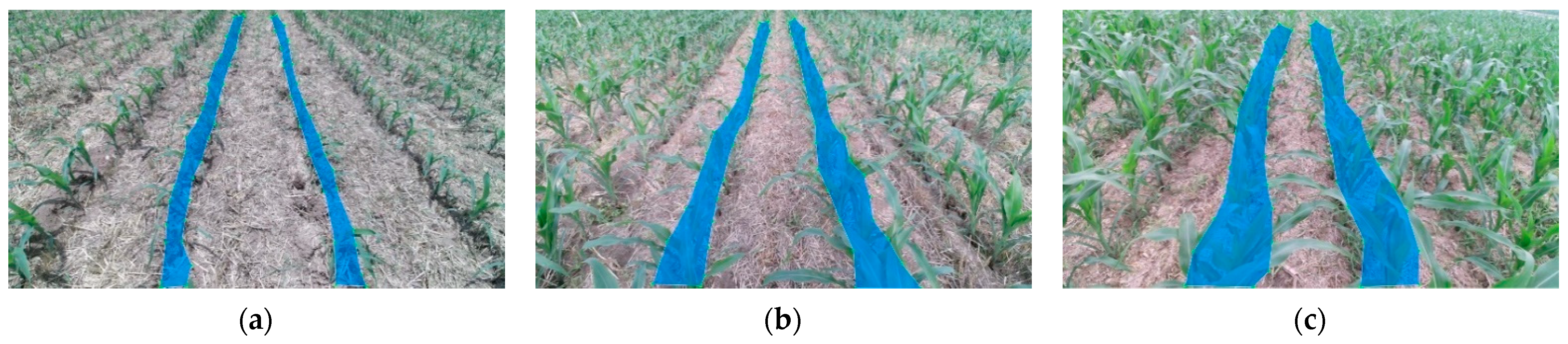 Agriculture 14 00969 g004