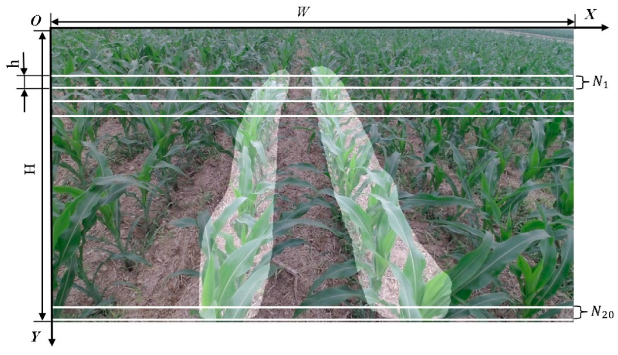 Agriculture 14 00969 g008