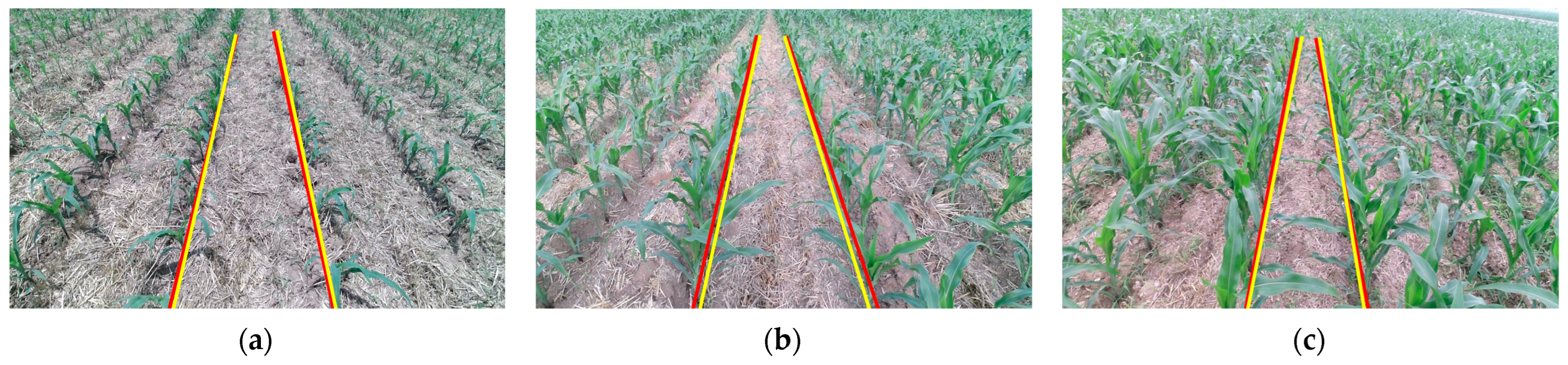 Agriculture 14 00969 g017