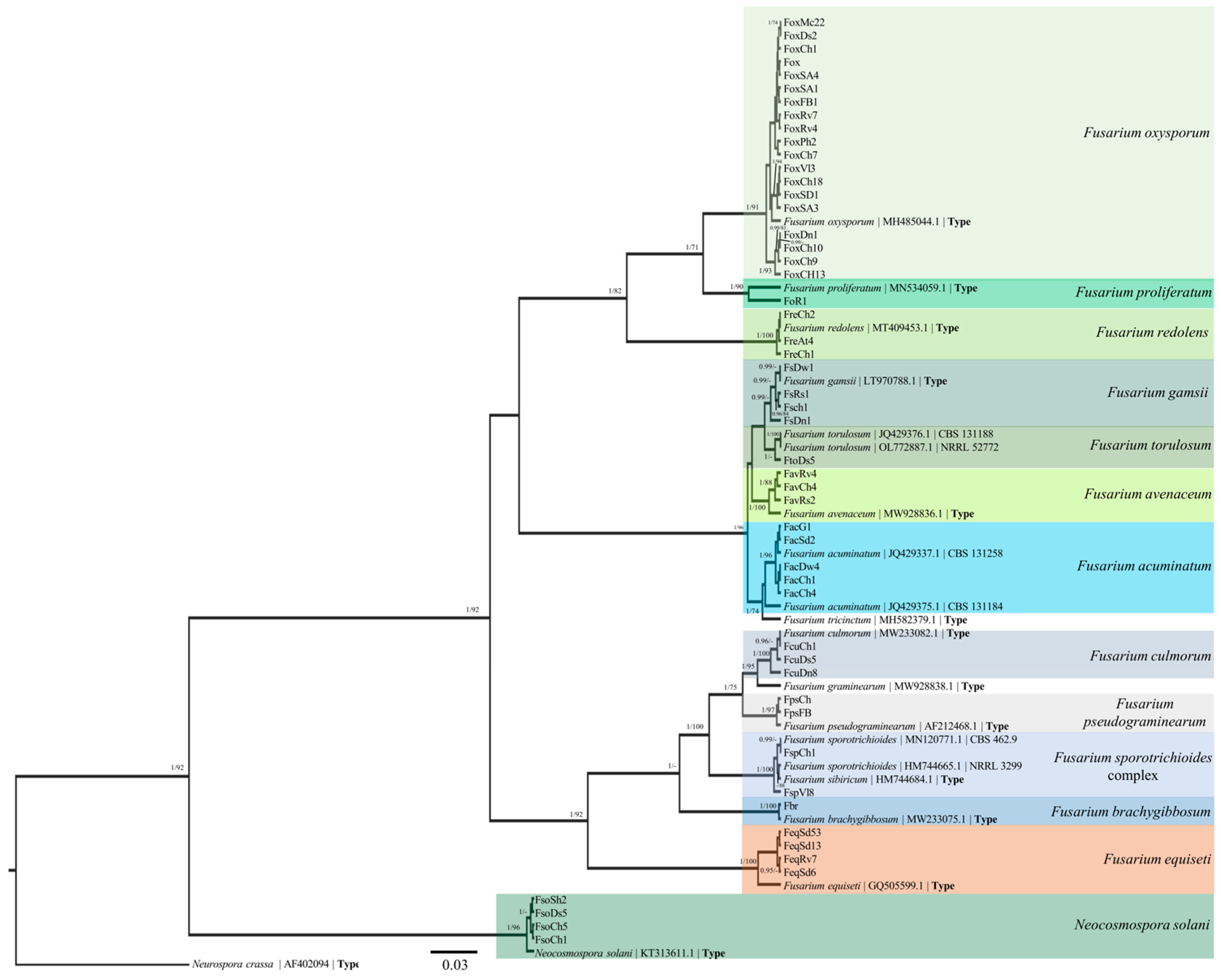 Agriculture 14 00974 g002
