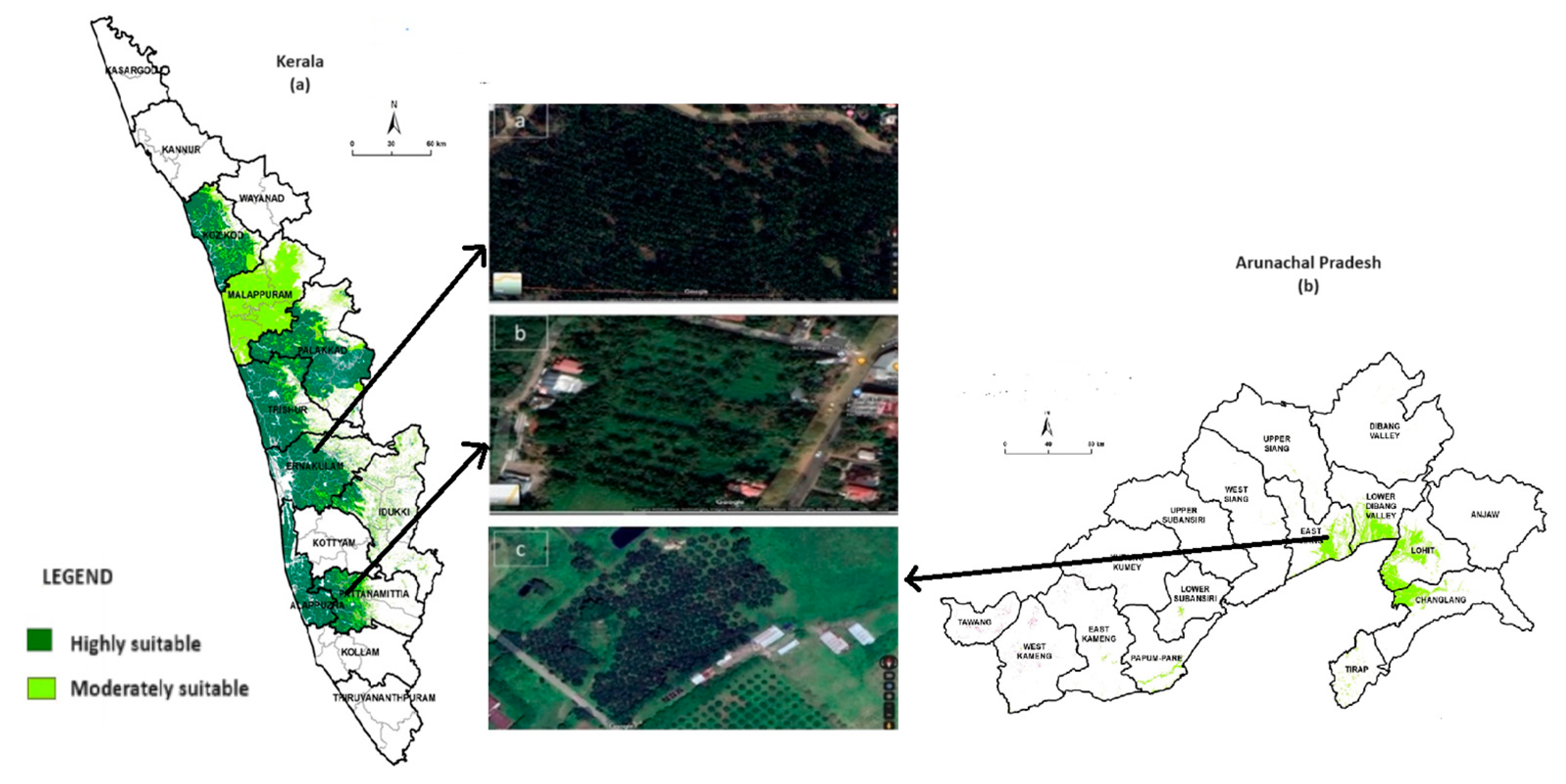 Agriculture 14 00986 g008 Agriculture 14 00986 g008