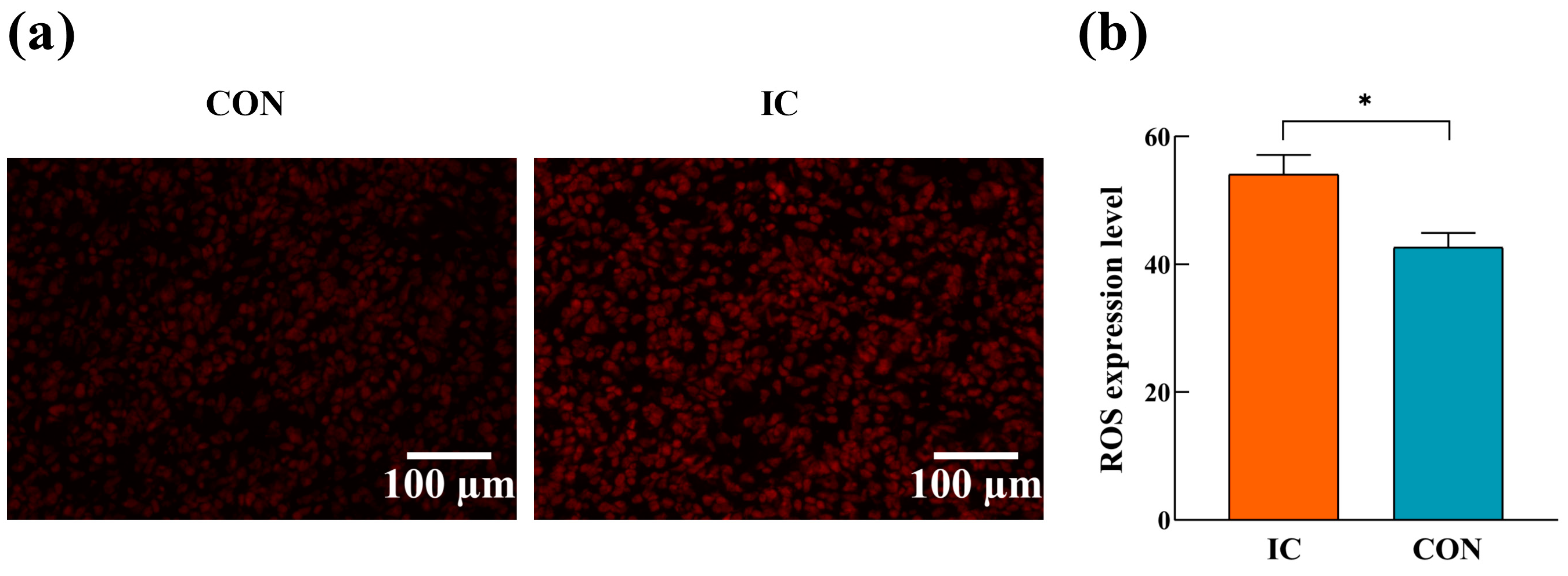 Agriculture 14 00992 g001