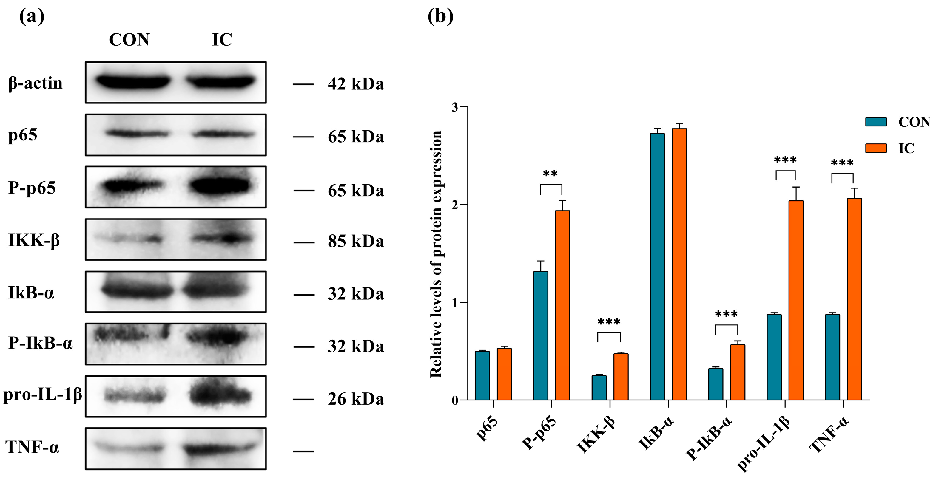 Agriculture 14 00992 g006