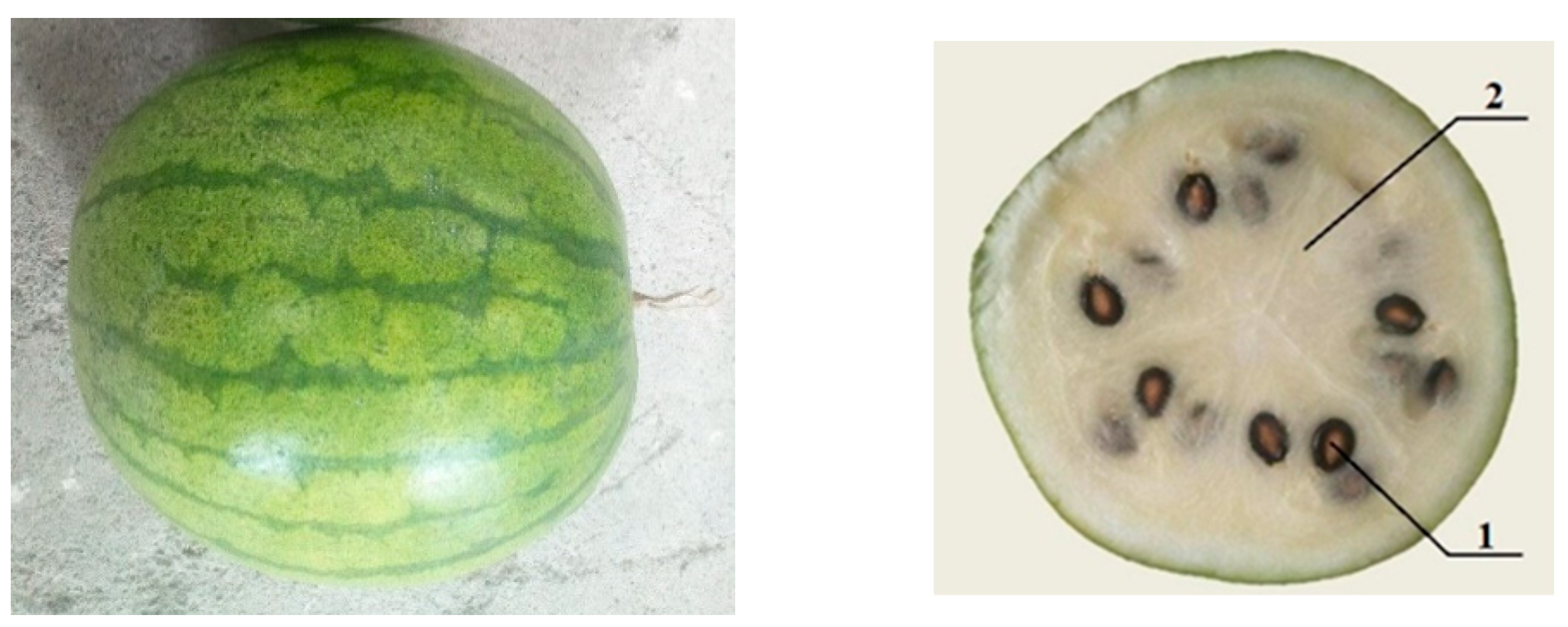 Agriculture 14 01008 g001