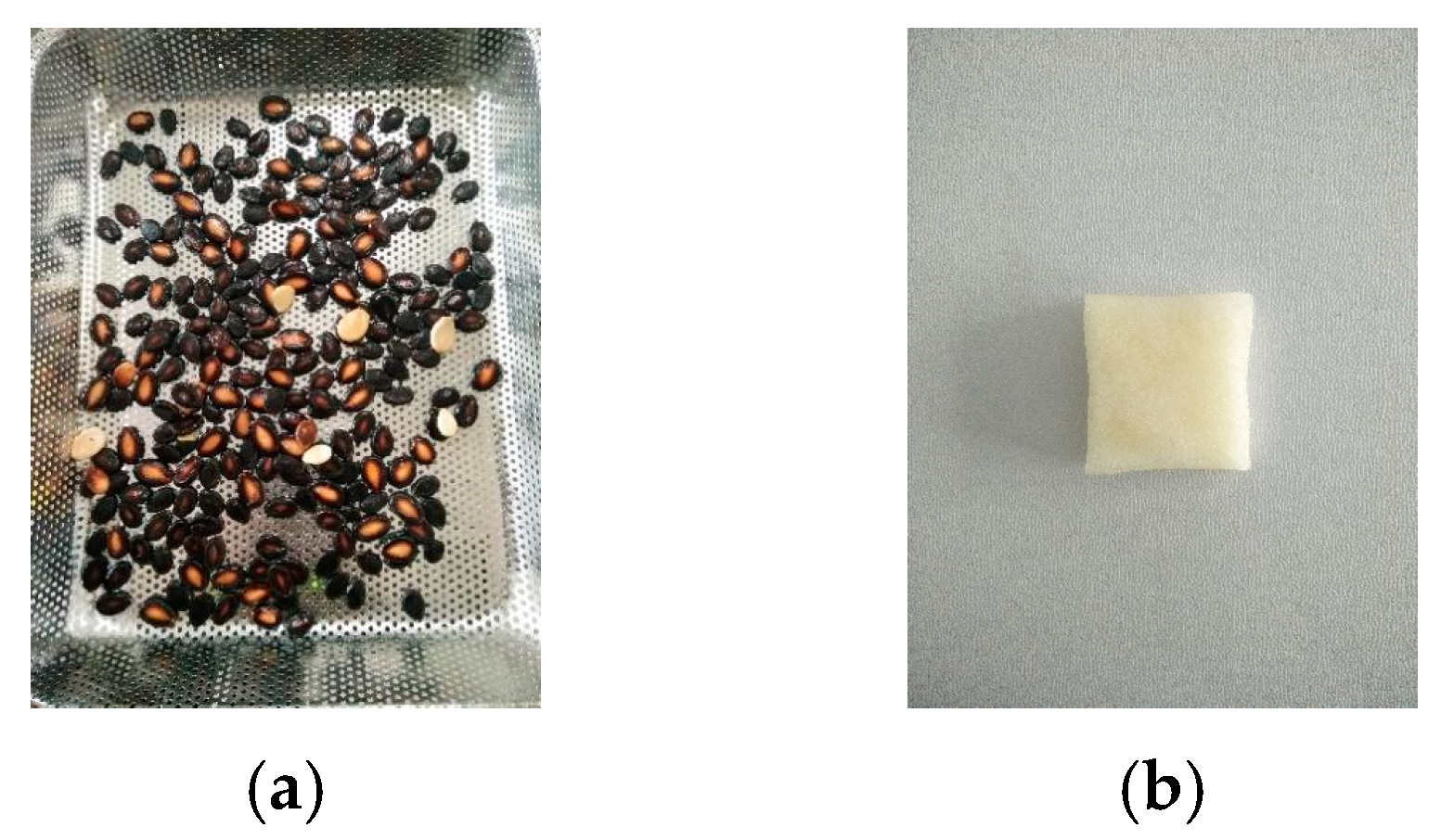 Agriculture 14 01008 g006