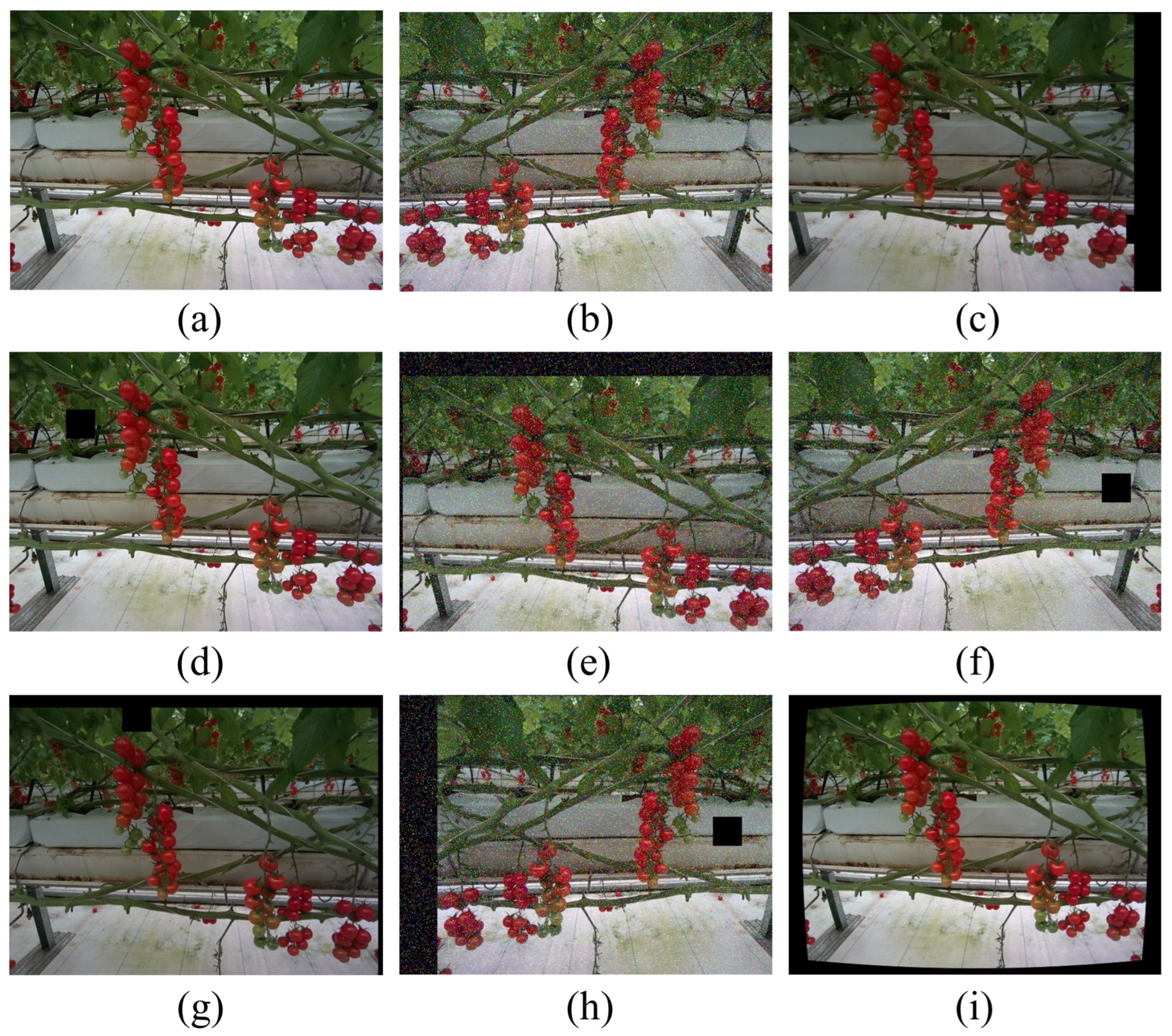 Agriculture 14 01011 g002