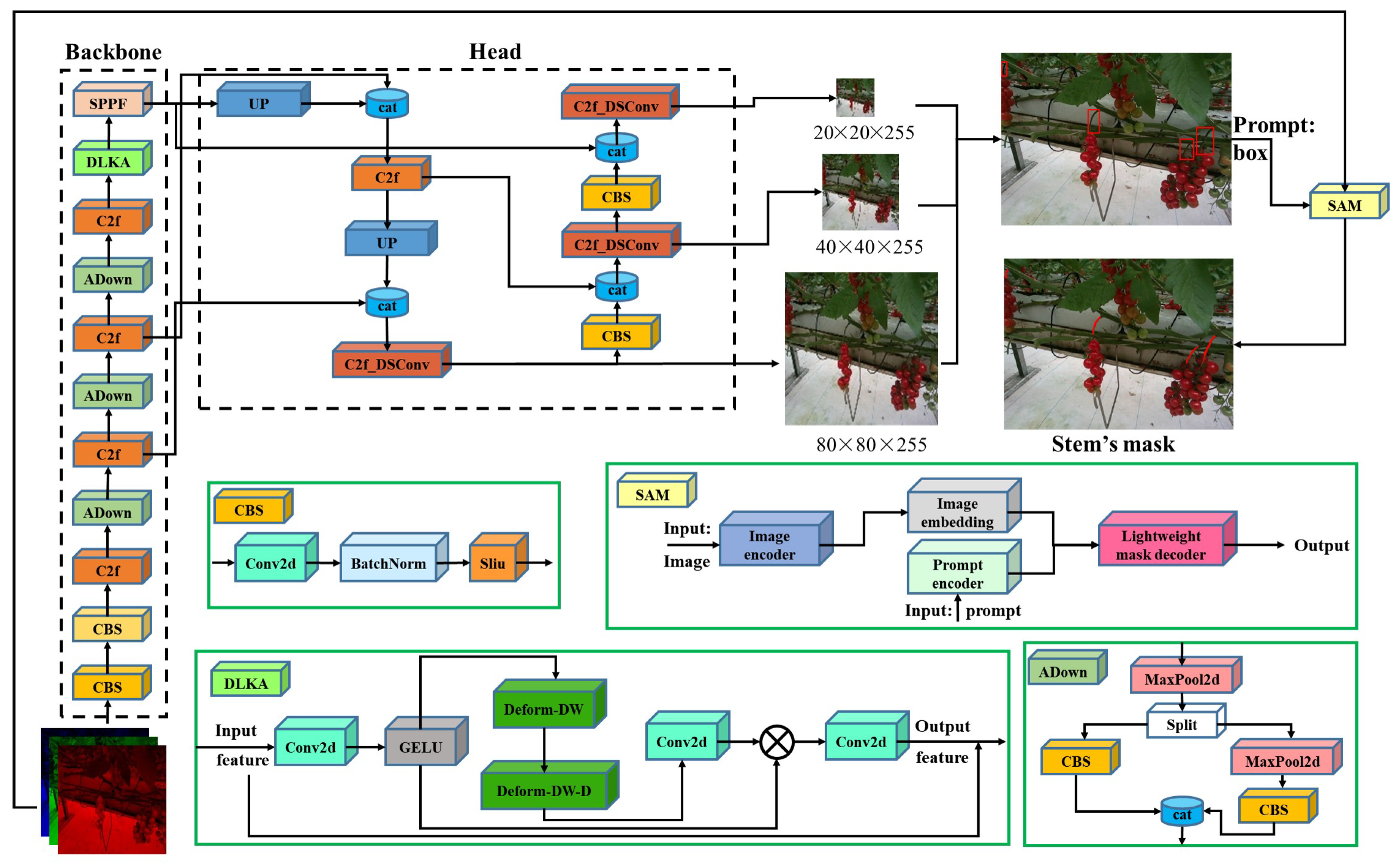 Agriculture 14 01011 g004