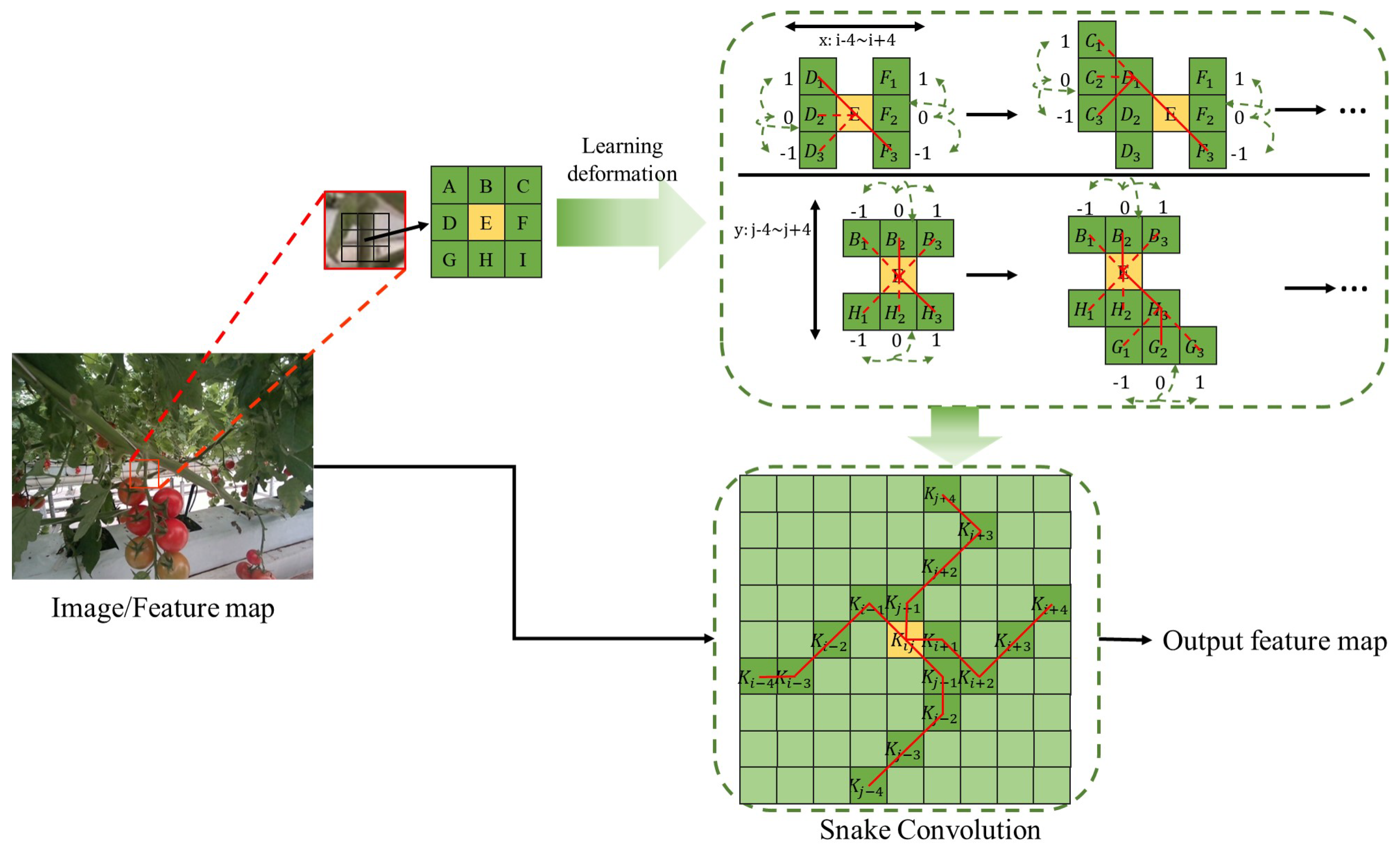 Agriculture 14 01011 g006