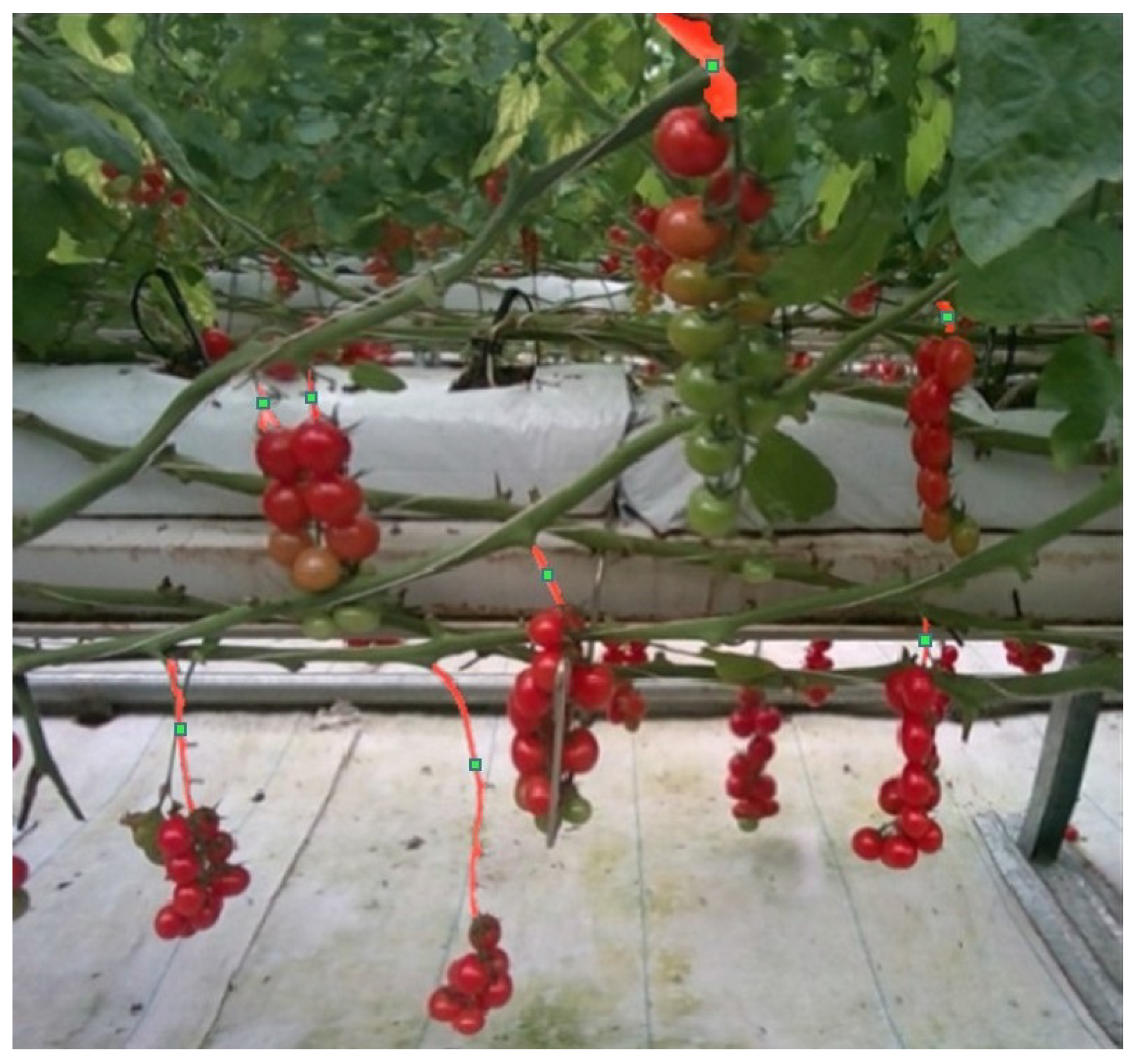 Agriculture 14 01011 g009