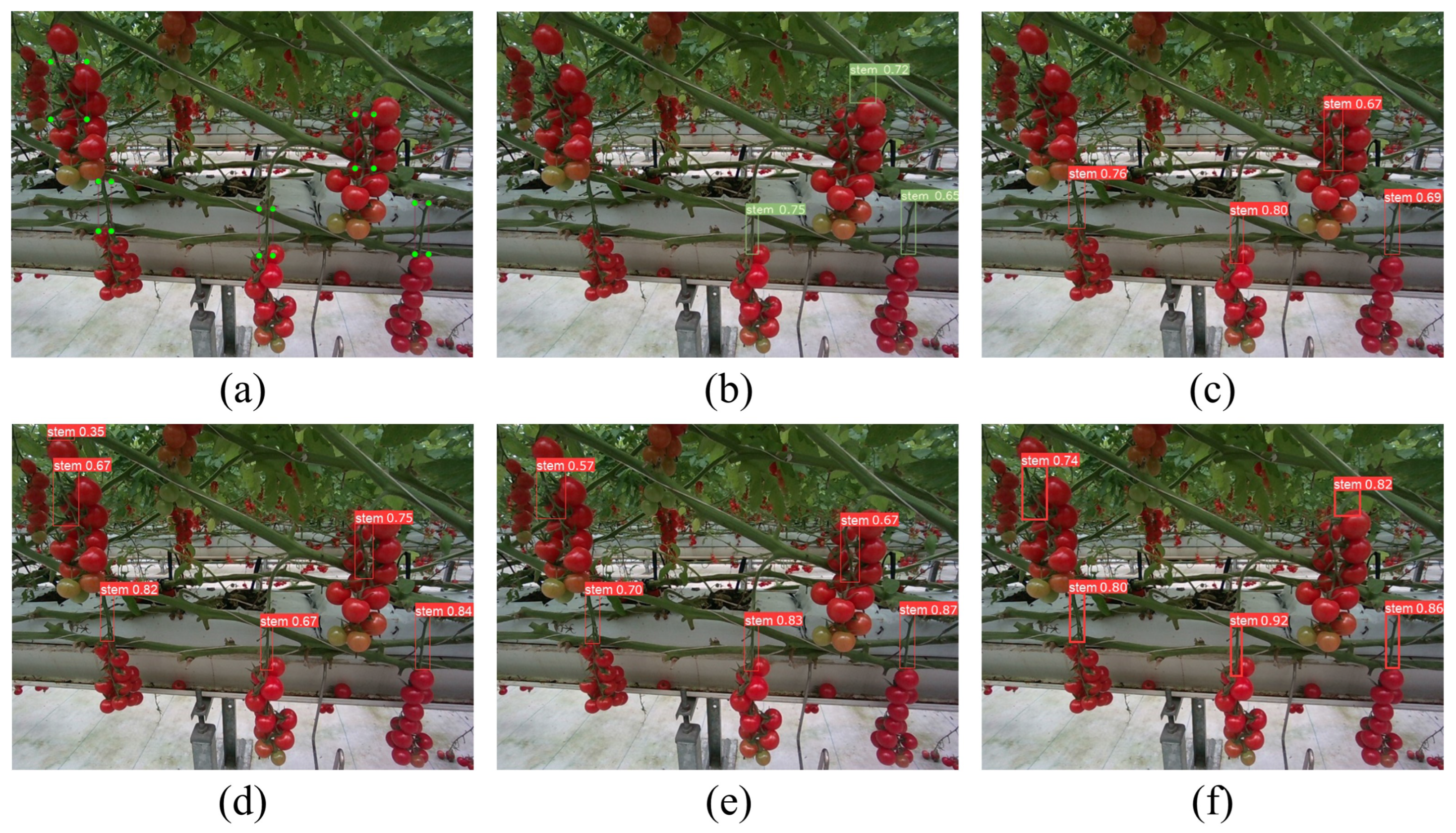 Agriculture 14 01011 g012