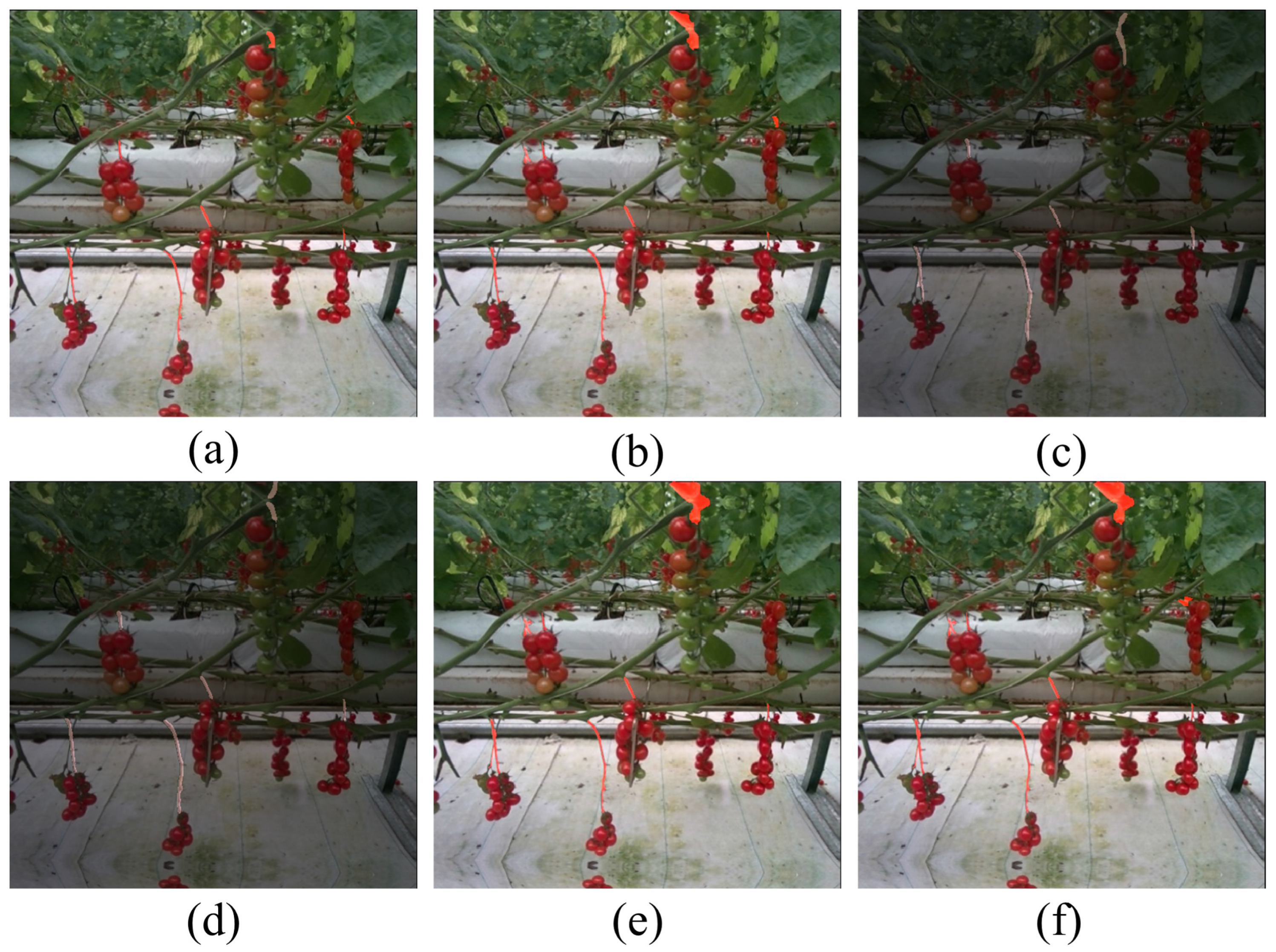 Agriculture 14 01011 g013