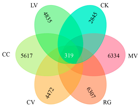 Agriculture 14 01017 g002