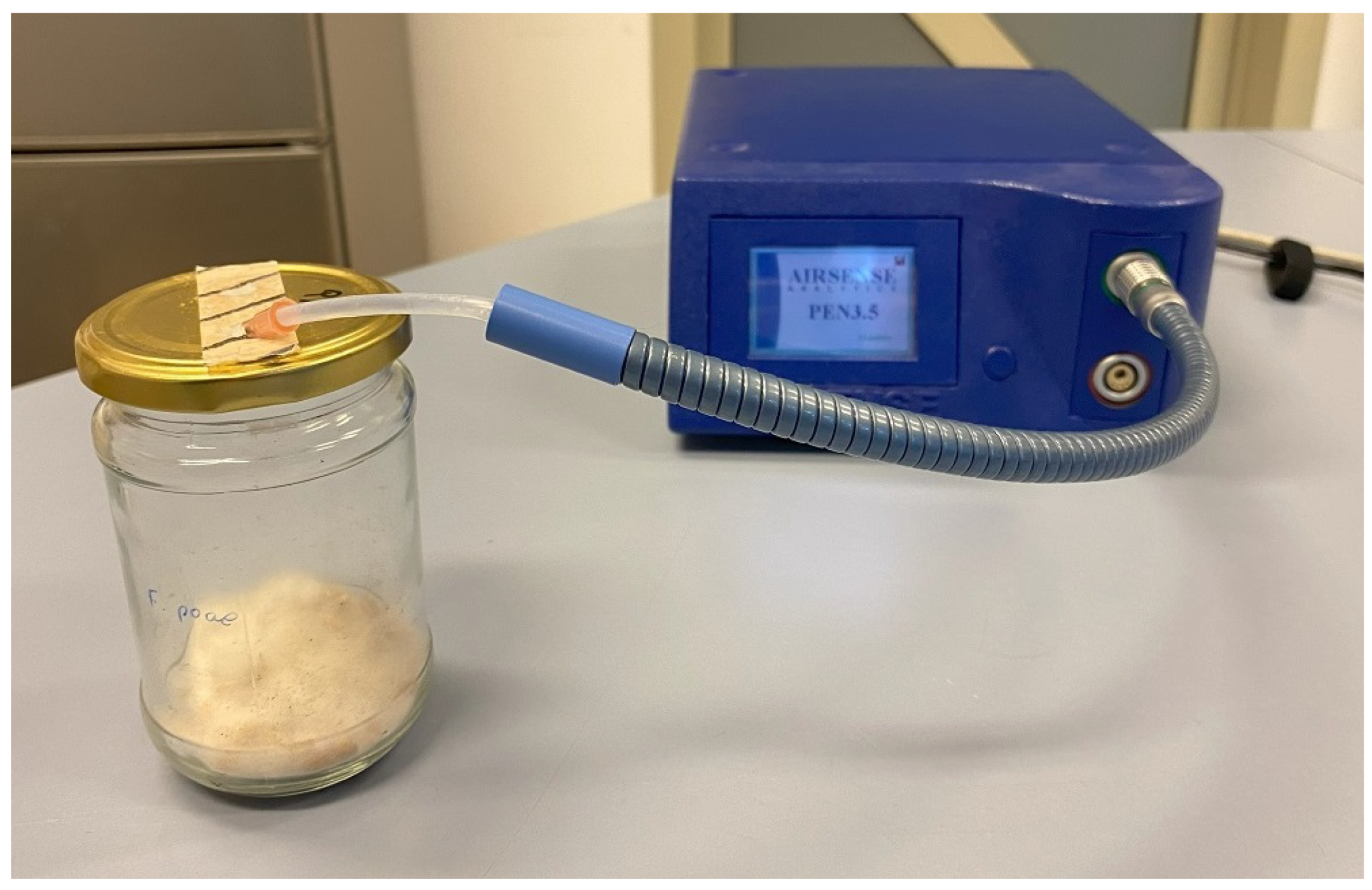 Agriculture 14 01028 g001