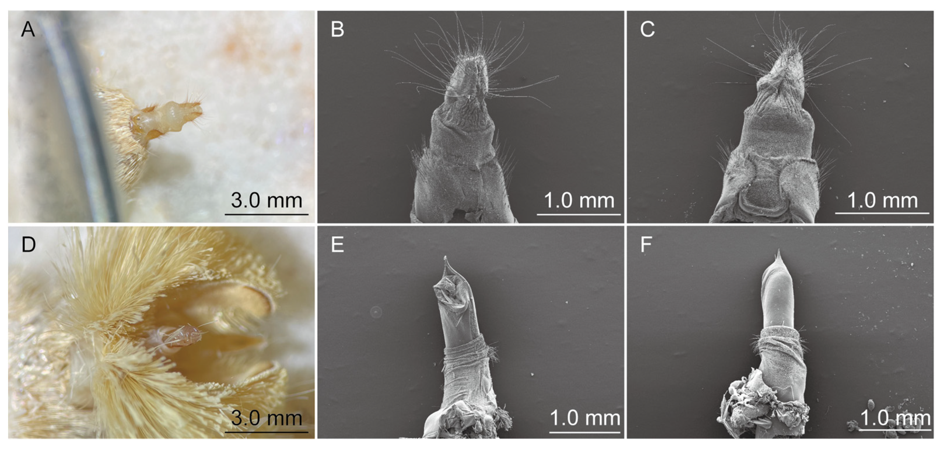 Agriculture 14 01030 g001