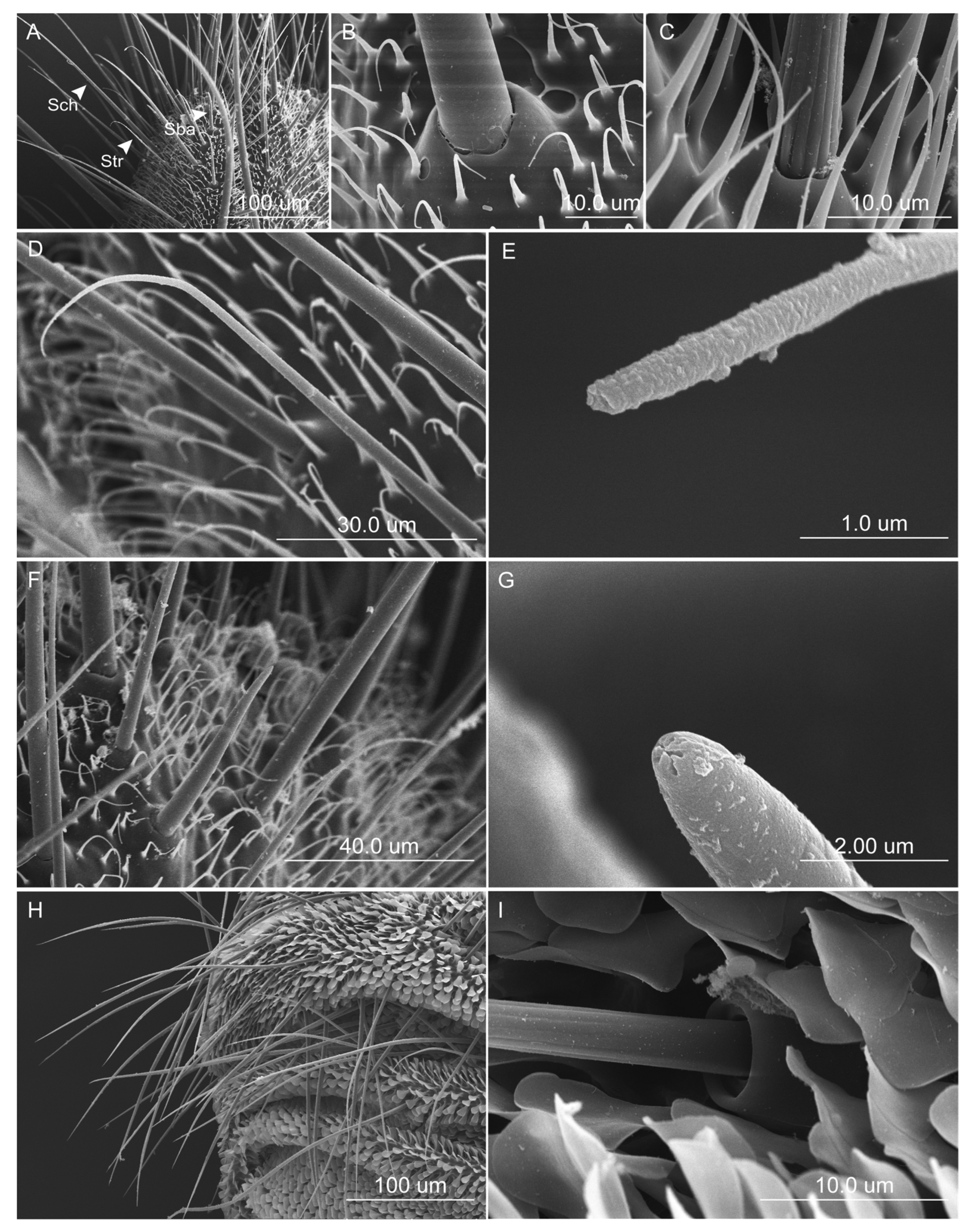 Agriculture 14 01030 g002