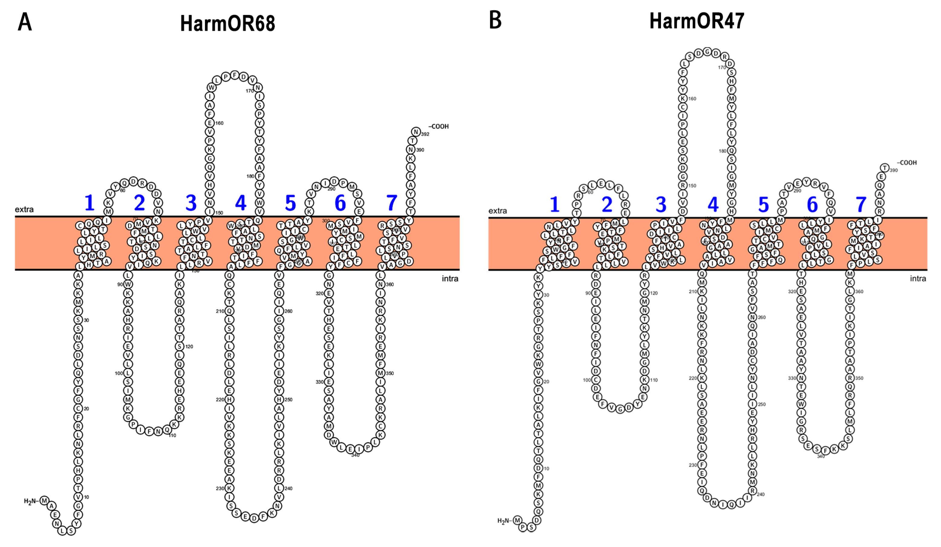 Agriculture 14 01030 g004